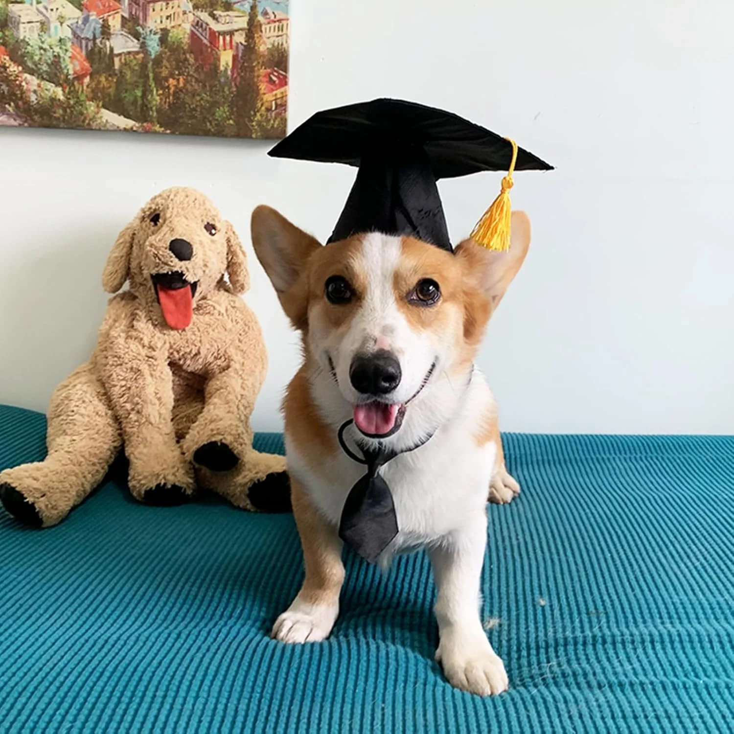 کلاه فارغ التحصیلی حیوانات خانگی DALJIAFA با پاپیون، کلاه فارغ التحصیلی سگ و گربه کوچک با پاپیون، کراوات گردنی توله سگ، کلاه منگوله دار برای لباس پوشیدن جشن تولد و لوازم جانبی مهمانی کلاه فارغ التحصیلی حیوانات خانگی DALJIAFA با پاپیون، کلاه فارغ التحصیلی سگ و گربه کوچک با پاپیون، کراوات گردنی توله سگ، کلاه منگوله دار برای لباس پوشیدن جشن تولد و لوازم جانبی مهمانی