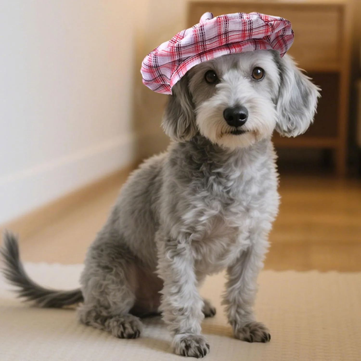 کلاه بره گربه | کلاه تزئینی بچه گربه | کلاه بره سگ با بند قابل تنظیم، کلاه فرانسوی هنرمند برای حیوانات خانگی، بچه گربه ها، سگ ها، مسافرت کلاه بره گربه | کلاه تزئینی بچه گربه | کلاه بره سگ با بند قابل تنظیم، کلاه فرانسوی هنرمند برای حیوانات خانگی، بچه گربه ها، سگ ها، مسافرت