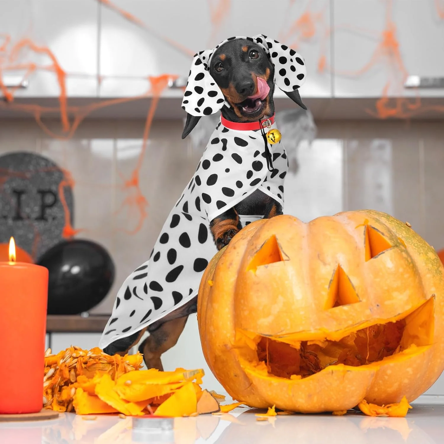 ست ۳ تکه لباس سگ خالدار شامل شنل، تل سر و قلاده قرمز با زنگوله، طرح حیوانات، لباس های نرم برای حیوانات خانگی، مناسب استفاده روزانه و تعطیلات