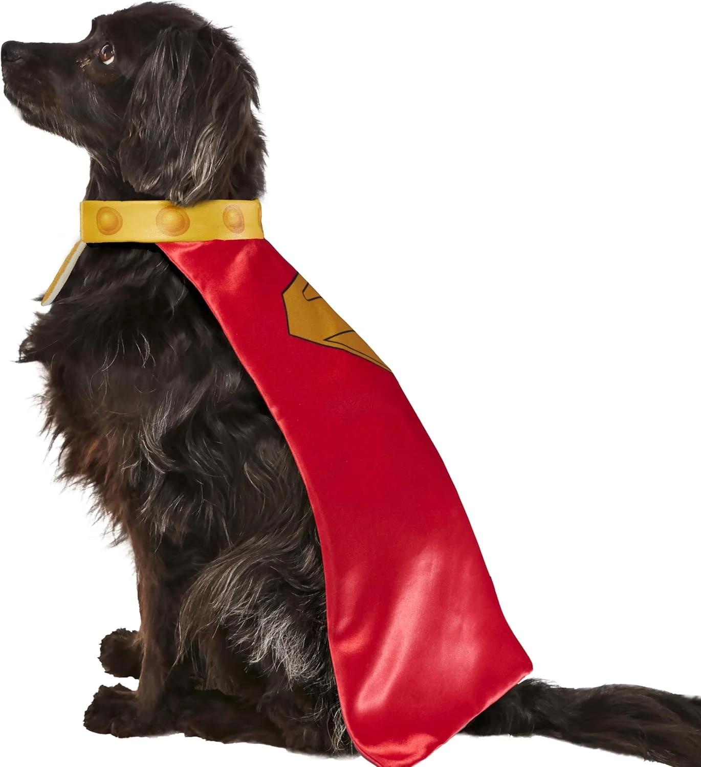 شنل و قلاده حیوانات خانگی کریپتو سوپرمن (فیلم ۲۰۲۵) از روبی، سایز خیلی بزرگ، مناسب سگ و گربه