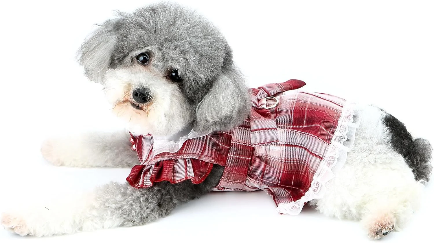 لباس سگ و گربه طرح چهارخانه با دامن توری، مناسب برای سگ های کوچک و نژادهایی مانند یورکی و چیواوا، به همراه حلقه اتصال قلاده، رنگ قرمز، سایز S لباس سگ و گربه طرح چهارخانه با دامن توری، مناسب برای سگ های کوچک و نژادهایی مانند یورکی و چیواوا، به همراه حلقه اتصال قلاده، رنگ قرمز، سایز S