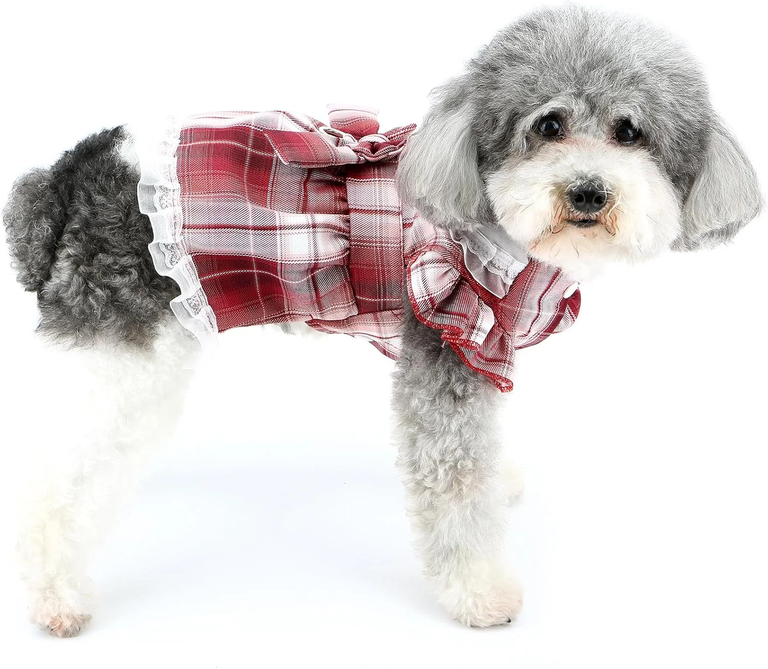 لباس سگ و گربه طرح چهارخانه با دامن توری، مناسب برای سگ های کوچک و نژادهایی مانند یورکی و چیواوا، به همراه حلقه اتصال قلاده، رنگ قرمز، سایز S لباس سگ و گربه طرح چهارخانه با دامن توری، مناسب برای سگ های کوچک و نژادهایی مانند یورکی و چیواوا، به همراه حلقه اتصال قلاده، رنگ قرمز، سایز S