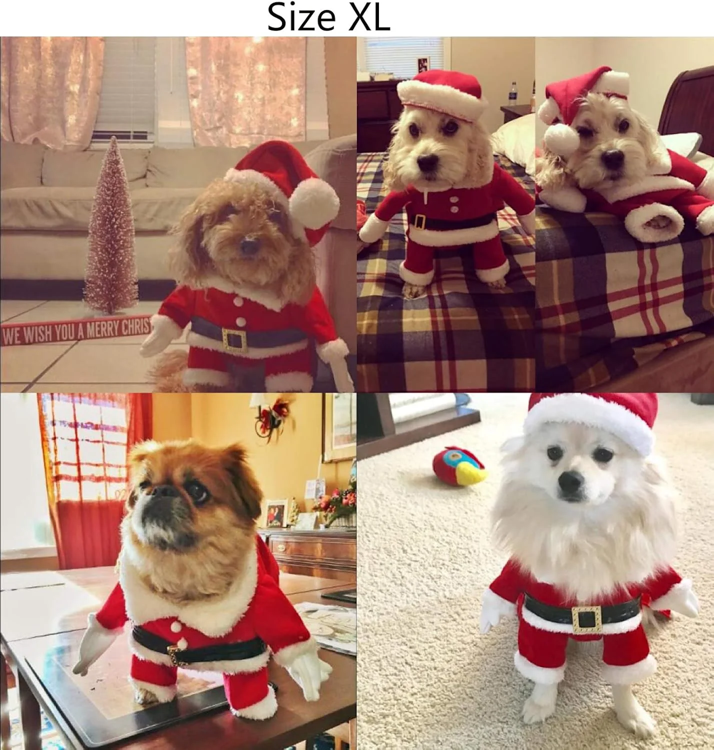 لباس کریسمس سگ دلیفور با کلاه، لباس بابانوئل سگ، لباس کریسمس سگ برای سگ کوچک، گربه، توله سگ سایز ایکس لارج قرمز CHRISTMASCLOTH لباس کریسمس سگ دلیفور با کلاه، لباس بابانوئل سگ، لباس کریسمس سگ برای سگ کوچک، گربه، توله سگ سایز ایکس لارج قرمز CHRISTMASCLOTH