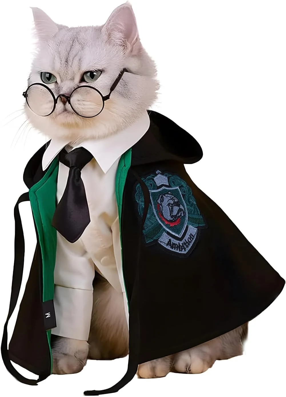 لباس هالووین گربه دلیفور - شنل جادوگر حیوانات خانگی، لباس های فستیوال با پاپیون و عینک، مناسب برای حیوانات کوچک، گربه ها و سگ ها (سبز، متوسط)
