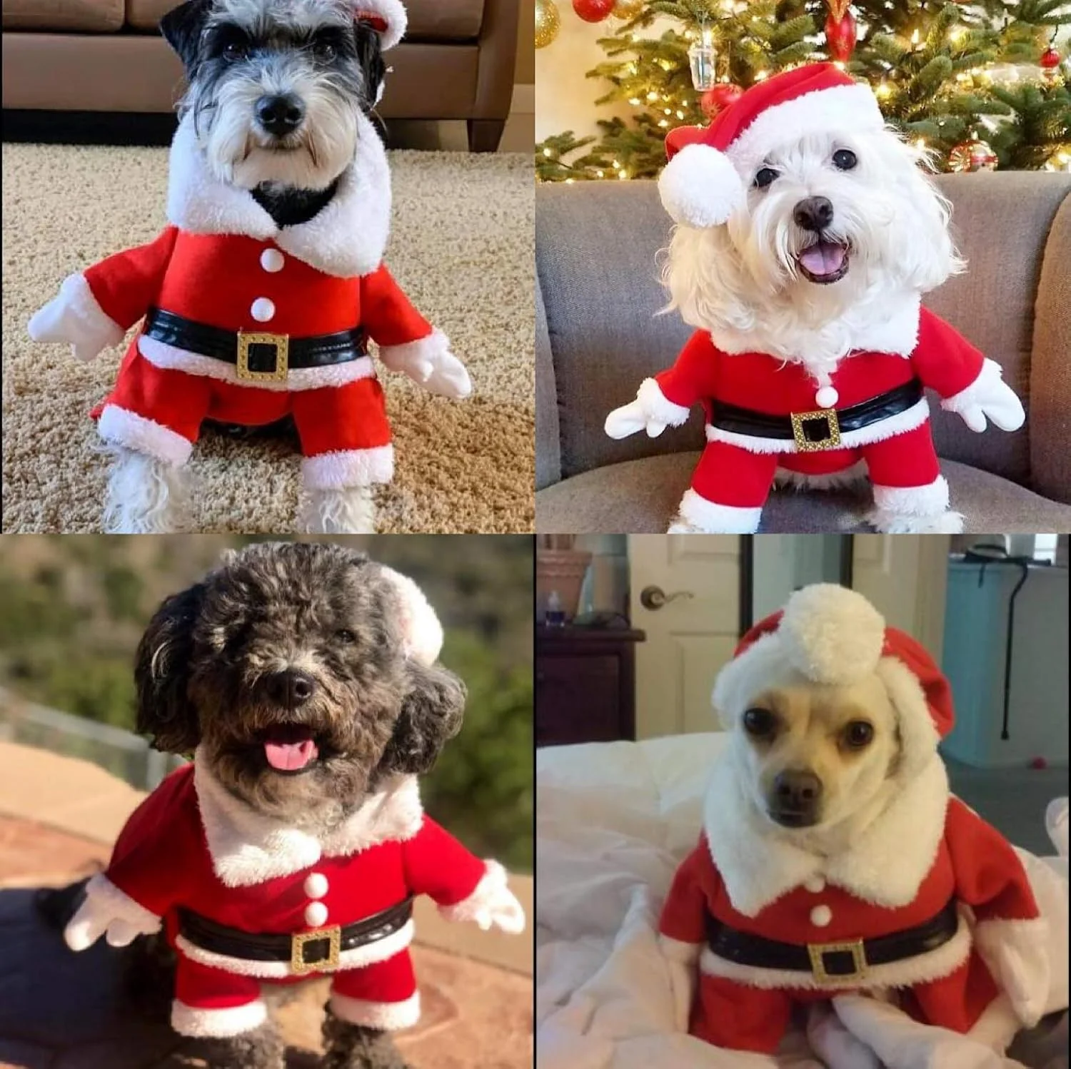 لباس کریسمس سگ دلیفور با کلاه، لباس بابانوئل سگ، لباس کریسمس سگ برای سگ کوچک، گربه، توله سگ سایز ایکس لارج قرمز CHRISTMASCLOTH لباس کریسمس سگ دلیفور با کلاه، لباس بابانوئل سگ، لباس کریسمس سگ برای سگ کوچک، گربه، توله سگ سایز ایکس لارج قرمز CHRISTMASCLOTH