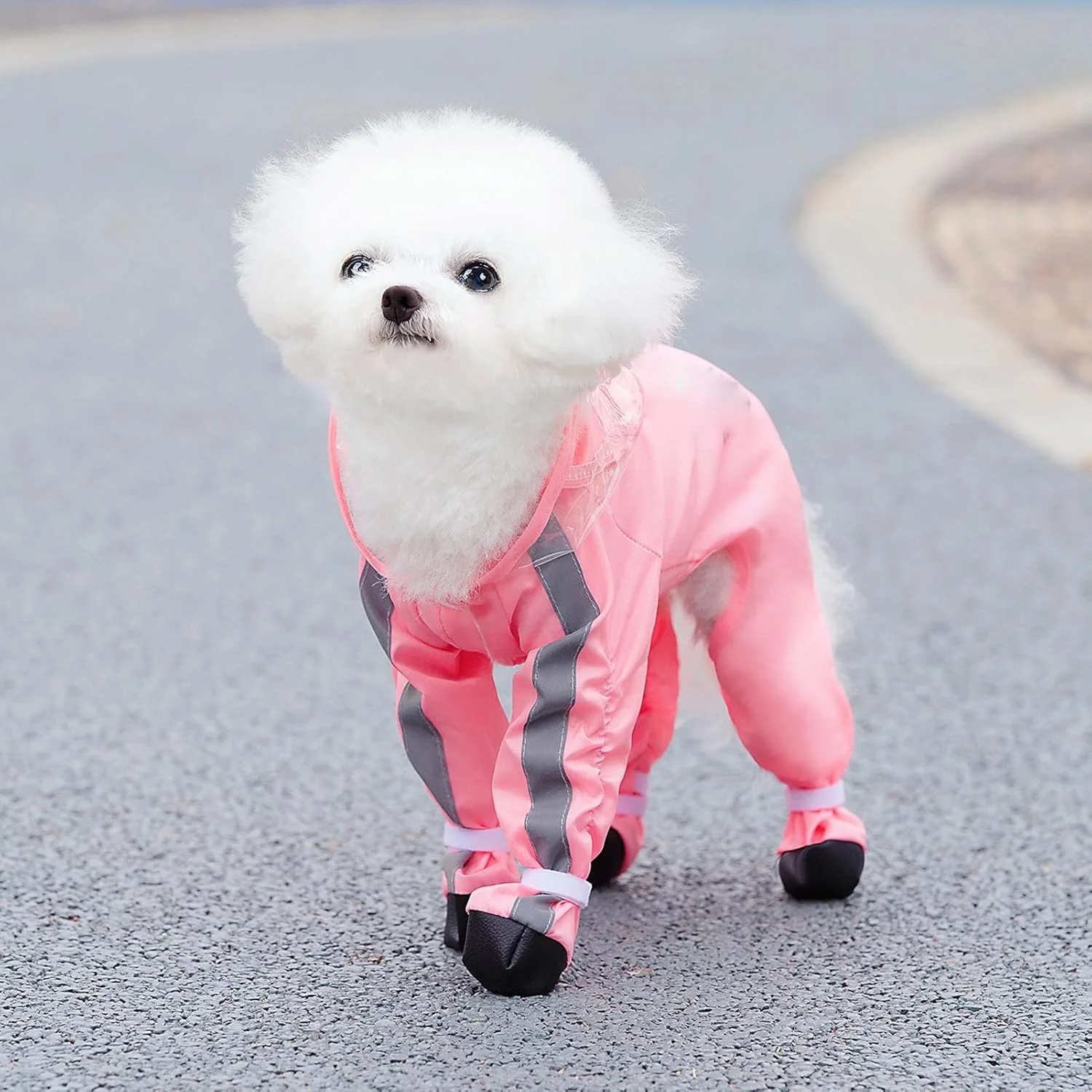بارانی سگ با چکمه، ژاکت بارانی ضد آب 4 پا با کلاه و سوراخ بند، لباس بارانی سگ برای پیاده روی لباس توله سگ (L)