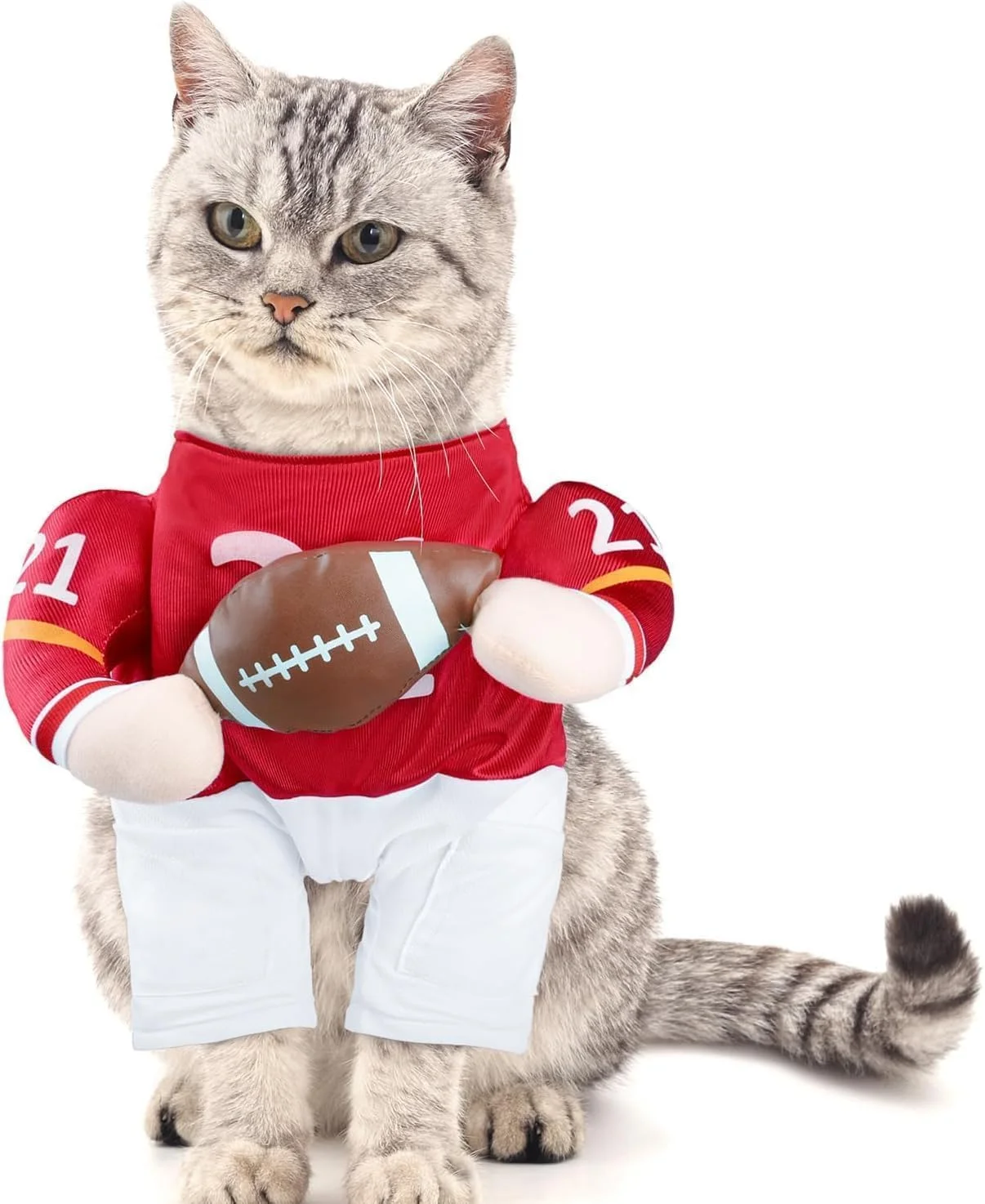 لباس بازیکن راگبی سگ DELIFUR - لباس هالووین حیوانات خانگی لباس ورزشی خنده دار قابل تنظیم لباس های Cosplay برای گربه ها و توله سگ ها (راگبی، X-Small) لباس بازیکن راگبی سگ DELIFUR - لباس هالووین حیوانات خانگی لباس ورزشی خنده دار قابل تنظیم لباس های Cosplay برای گربه ها و توله سگ ها (راگبی، X-Small)