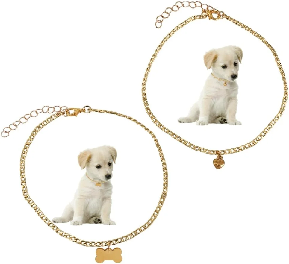 دو عدد گردنبند زنجیری حیوانات خانگی، قلاده سگ و گربه استیل ضد زنگ قابل تنظیم با آویز استخوان و قلب، زیورآلات و لوازم جانبی حیوانات خانگی برای سگ های کوچک، گربه ها و توله سگ ها
