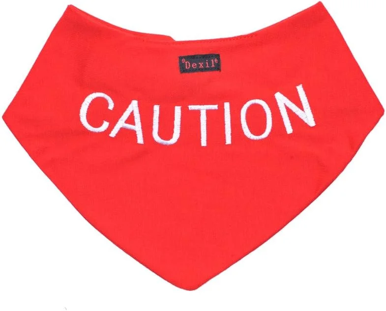 دستمال گردن سگ دگزیل با احتیاط قرمز، شال گردن گلدوزی شده با پیام شخصی، لوازم جانبی مد روز، از حوادث با هشدار دادن به دیگران در مورد سگ شما از قبل جلوگیری می کند دستمال گردن سگ دگزیل با احتیاط قرمز، شال گردن گلدوزی شده با پیام شخصی، لوازم جانبی مد روز، از حوادث با هشدار دادن به دیگران در مورد سگ شما از قبل جلوگیری می کند