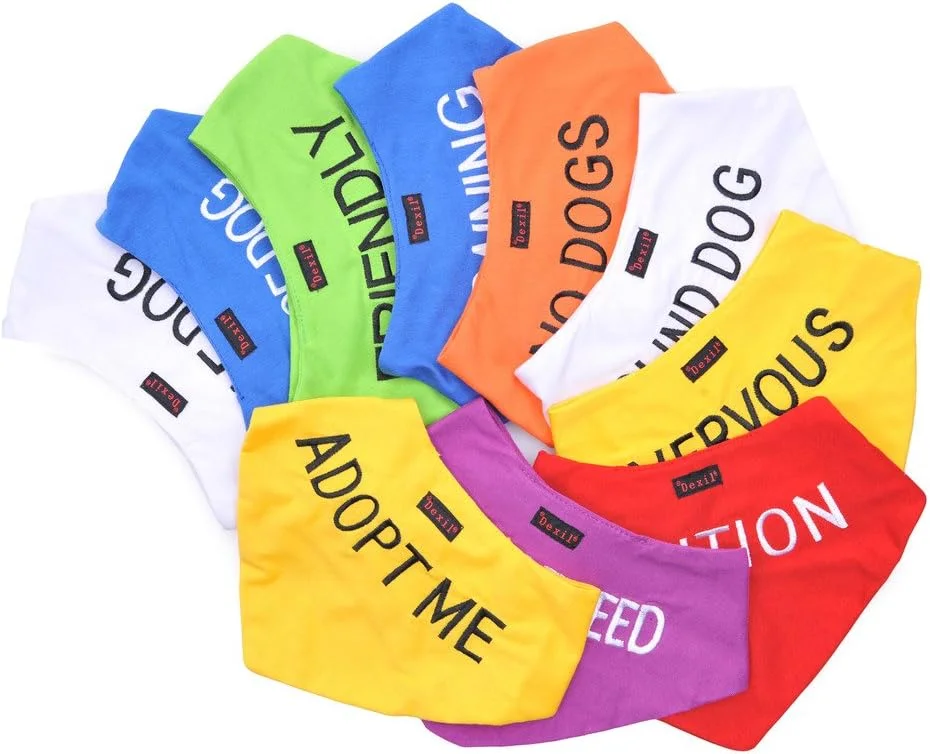 دستمال گردن سگ دگزیل با احتیاط قرمز، شال گردن گلدوزی شده با پیام شخصی، لوازم جانبی مد روز، از حوادث با هشدار دادن به دیگران در مورد سگ شما از قبل جلوگیری می کند دستمال گردن سگ دگزیل با احتیاط قرمز، شال گردن گلدوزی شده با پیام شخصی، لوازم جانبی مد روز، از حوادث با هشدار دادن به دیگران در مورد سگ شما از قبل جلوگیری می کند