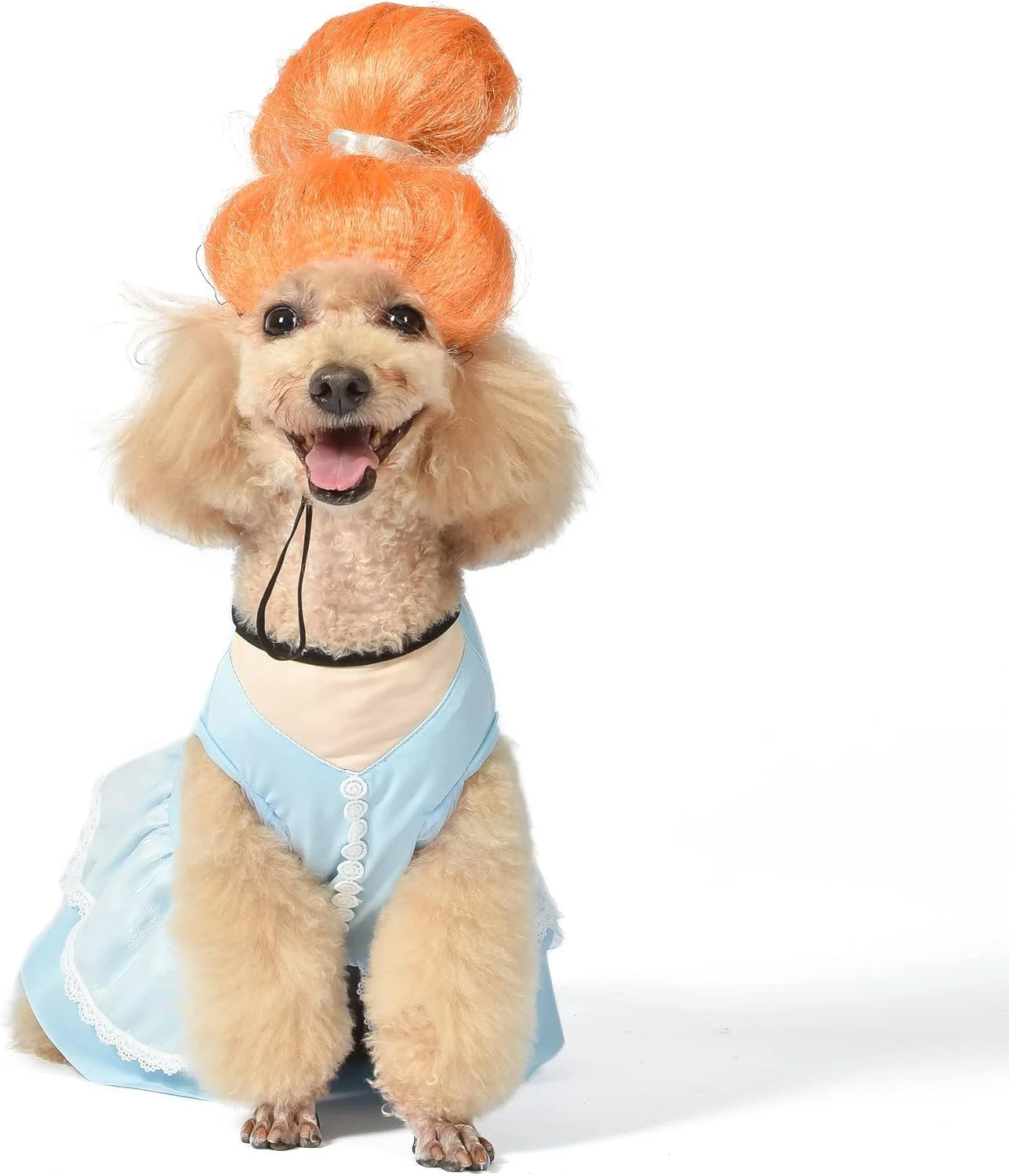 لباس سیندرلا پرنسس هالووین - سایز خیلی خیلی بزرگ | لباس هالووین سگ پرنسسی، دارای مجوز رسمی لباس سیندرلا پرنسس هالووین - سایز خیلی خیلی بزرگ | لباس هالووین سگ پرنسسی، دارای مجوز رسمی