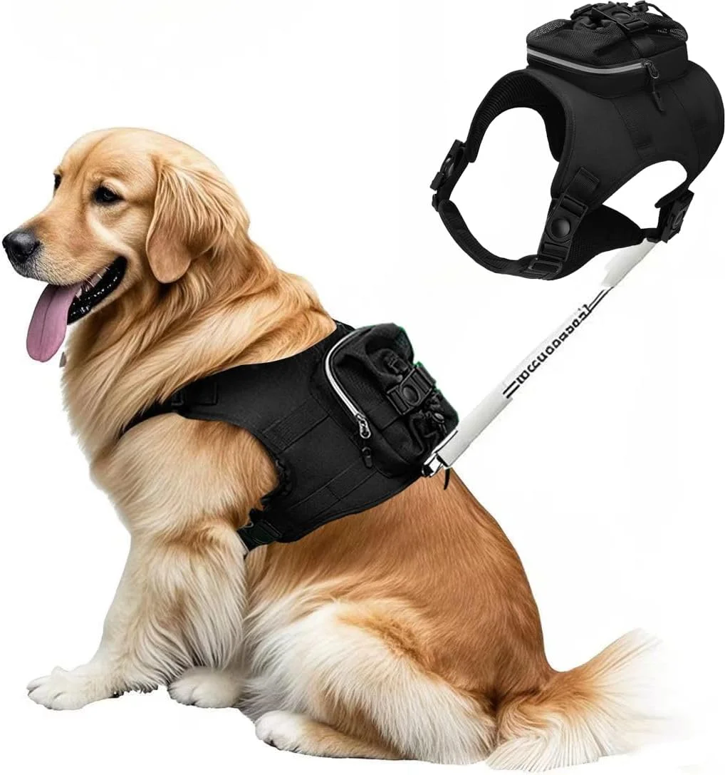 کوله پشتی سگ برای سگ های بزرگ