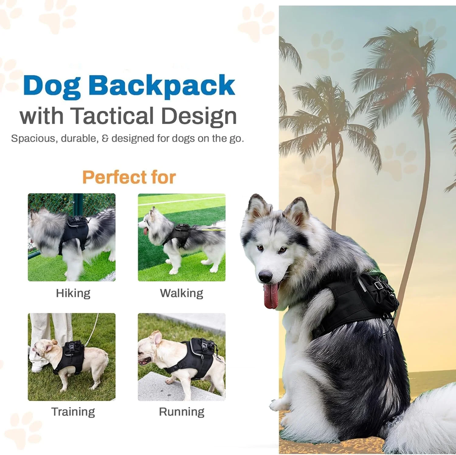 کوله پشتی سگ برای سگ های بزرگ