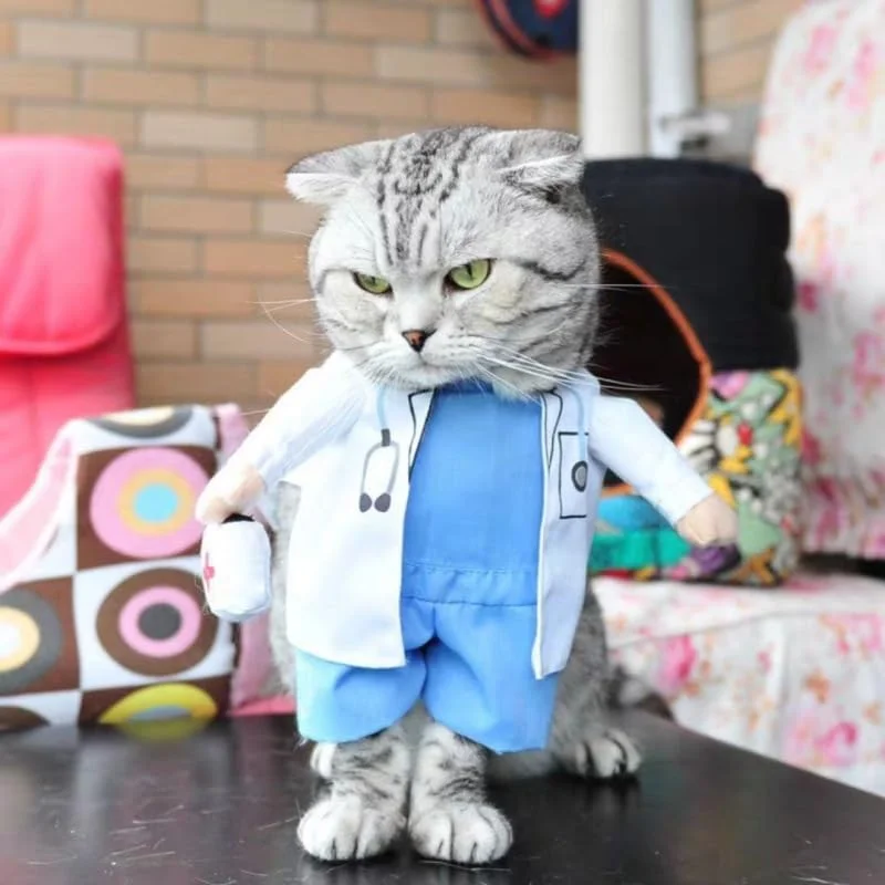 لباس سگ طرح دکتر، لباس حیوانات خانگی، لباس هالووین گربه برای توله سگ و سگ های کوچک (دکتر، بزرگ) لباس سگ طرح دکتر، لباس حیوانات خانگی، لباس هالووین گربه برای توله سگ و سگ های کوچک (دکتر، بزرگ)