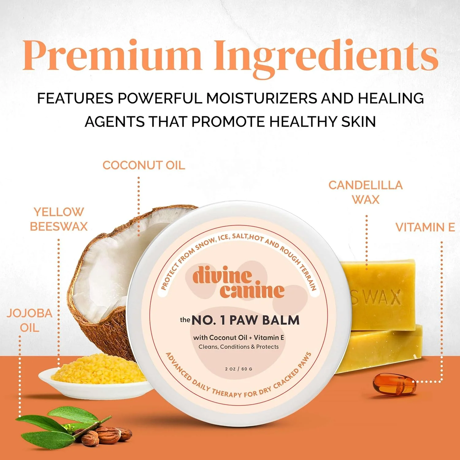 موم محافظ پنجه سگ - بالم پنجه توله سگ برای زمستان، برف، پیاده رو داغ - مرطوب کننده و تسکین دهنده پد پنجه برای پنجه های خشک و ترک خورده - لوسیون کرم پنجه برای پنجه های زبر سگ - محافظت از پنجه سگ در برابر گرما موم محافظ پنجه سگ - بالم پنجه توله سگ برای زمستان، برف، پیاده رو داغ - مرطوب کننده و تسکین دهنده پد پنجه برای پنجه های خشک و ترک خورده - لوسیون کرم پنجه برای پنجه های زبر سگ - محافظت از پنجه سگ در برابر گرما