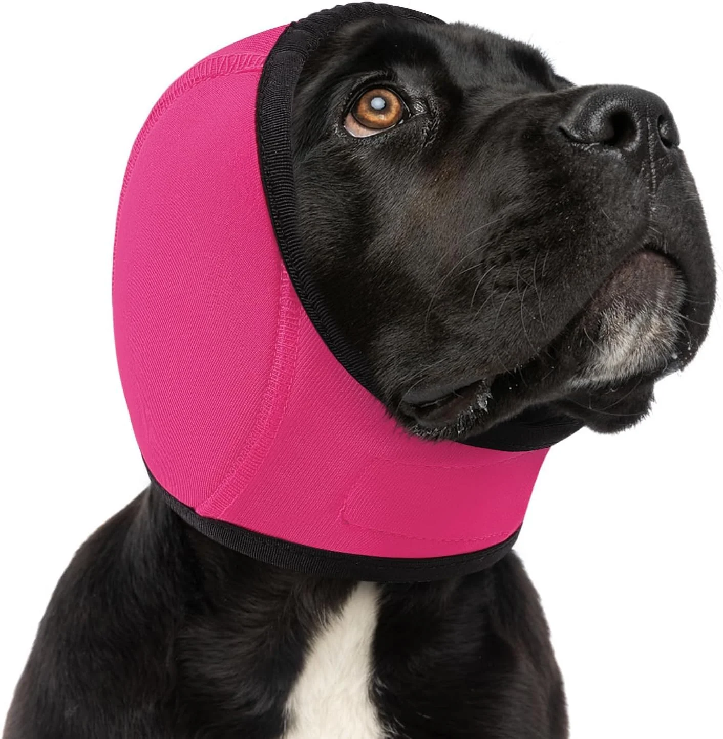 هودی آرامش بخش سگ - محافظ گوش و کاهش اضطراب سگ، پوشش گوش حیوانات خانگی برای محافظت در برابر سر و صدا، پوشش سر گربه برای جلوگیری از لرزش و هماتوم در هنگام آرایش، خشک کردن اجباری و حمام (قرمز رز، S)