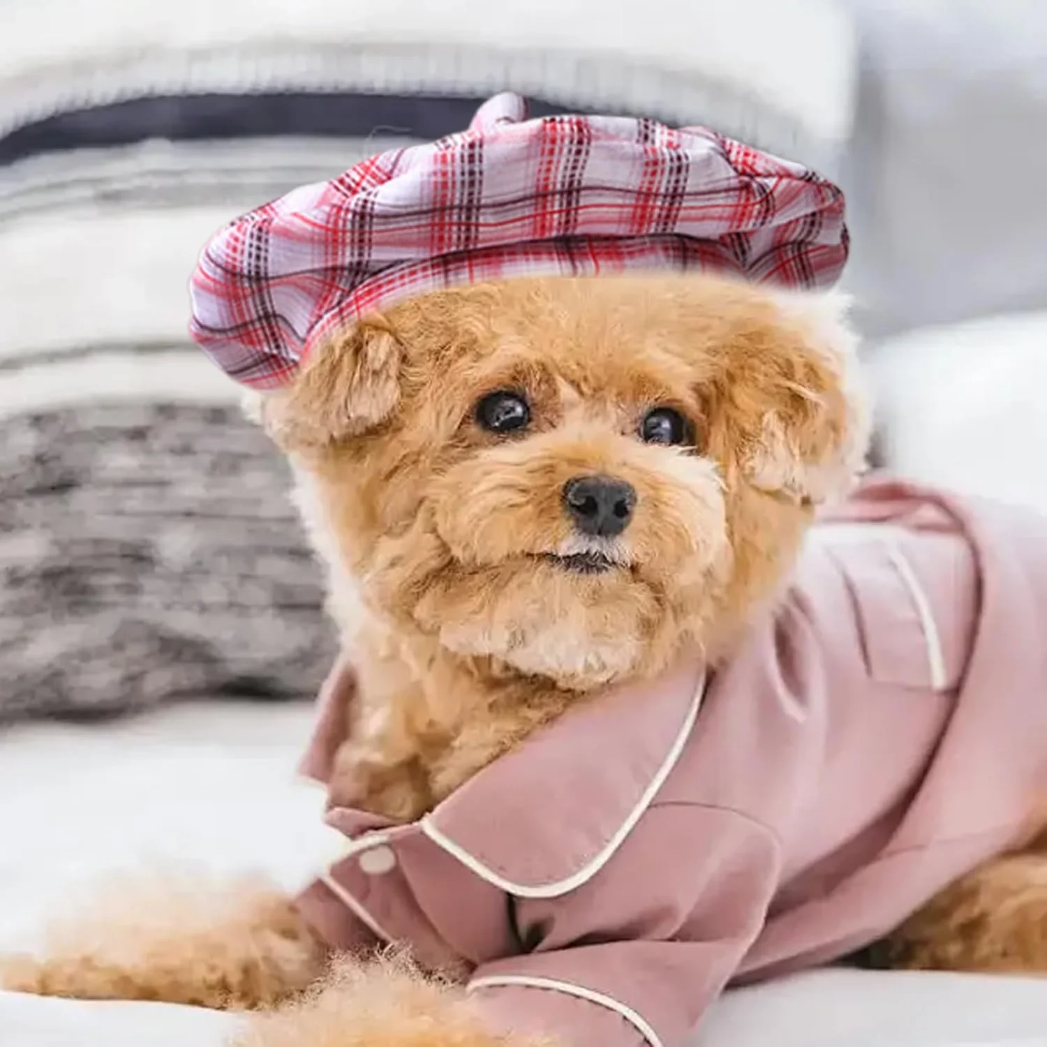 کلاه بره سگ - کلاه فرانسوی توله سگ - کلاه بره سگ با بند قابل تنظیم، کلاه هنرمندی فرانسوی برای حیوانات خانگی، بچه گربه ها، سگ ها، مسافرت