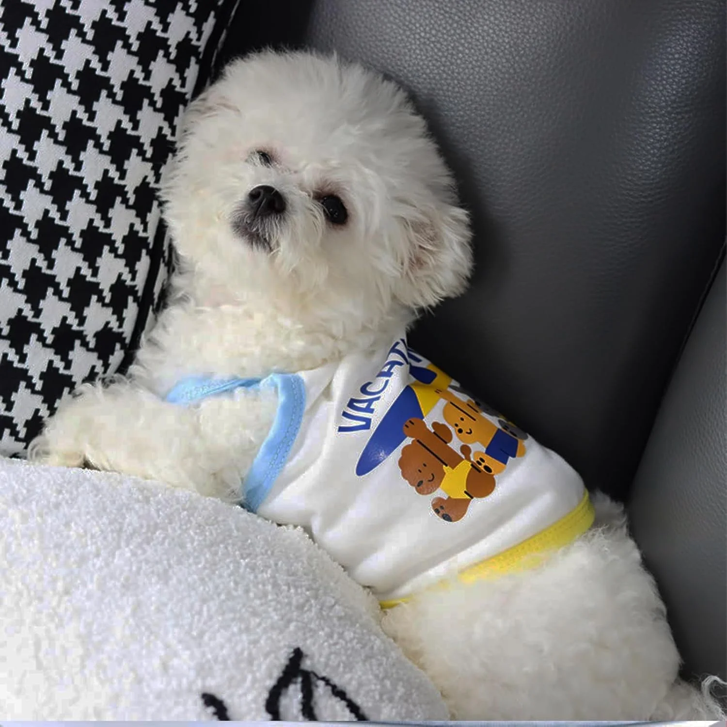 لباس سگ | لباس حیوانات خانگی برای سگ های کوچک - جلیقه گربه ای بدون آستین، شیک، سبک وزن، تنفس پذیر و راحت برای کمپینگ، پیاده روی، تمرین، مد و تولد