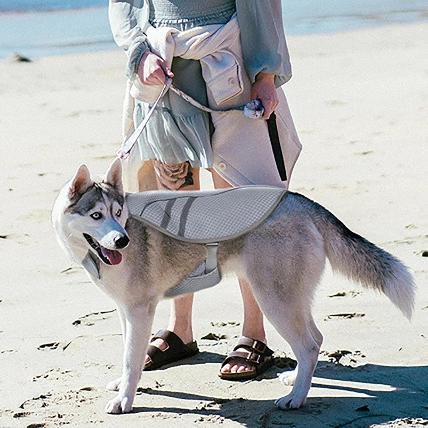 جلیقه خنک کننده سگ - جلیقه سبک وزن با فناوری میکروفیبر خنک کننده تبخیری | جلیقه خنک کننده حیوانات خانگی با بند قابل تنظیم بازتابنده محافظت در برابر اشعه ماوراء بنفش پیراهن خنک کننده برای ساحل، پیاده روی