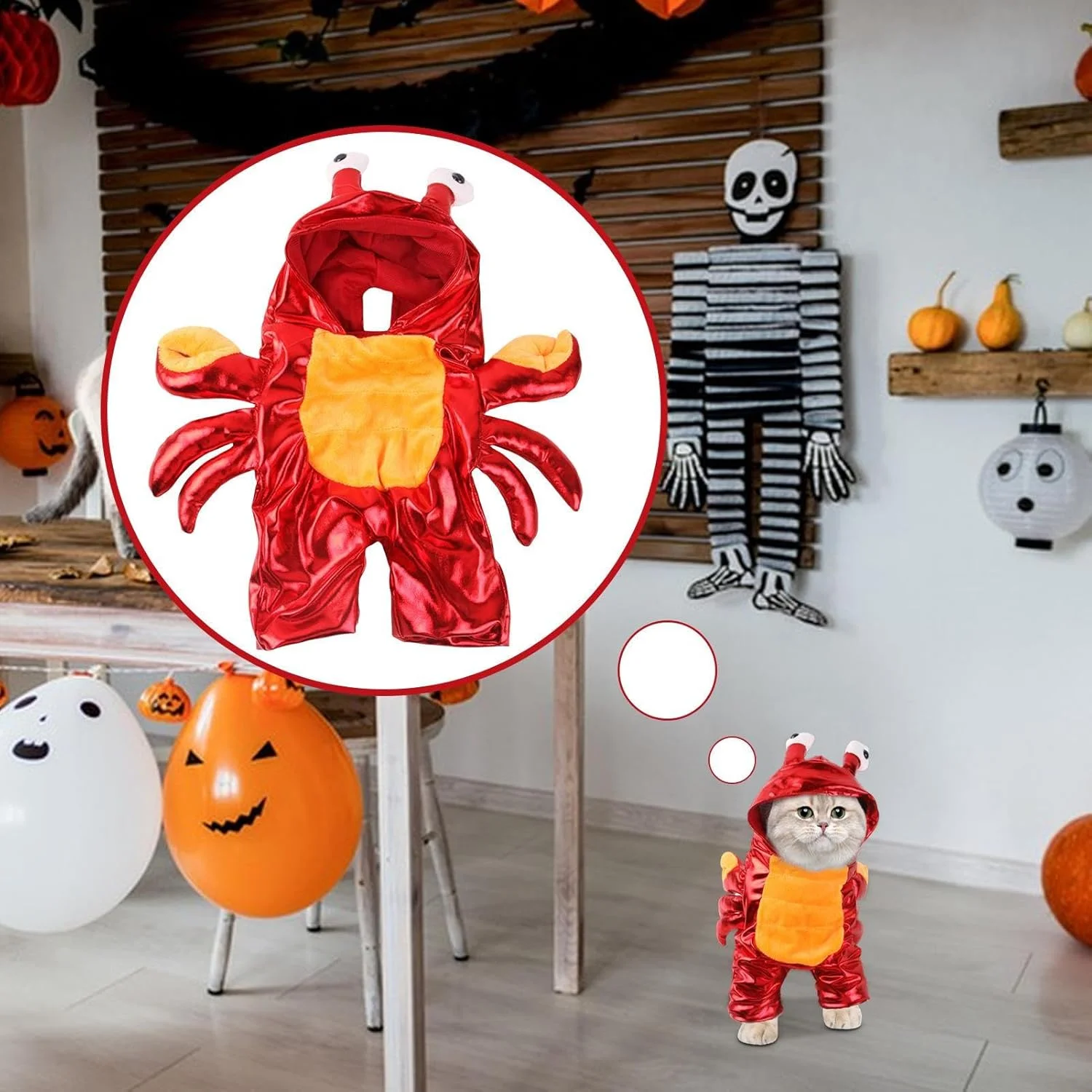 لباس خرچنگی برای سگ و گربه | لباس حیوانات خانگی برای جشن ها و عکاسی