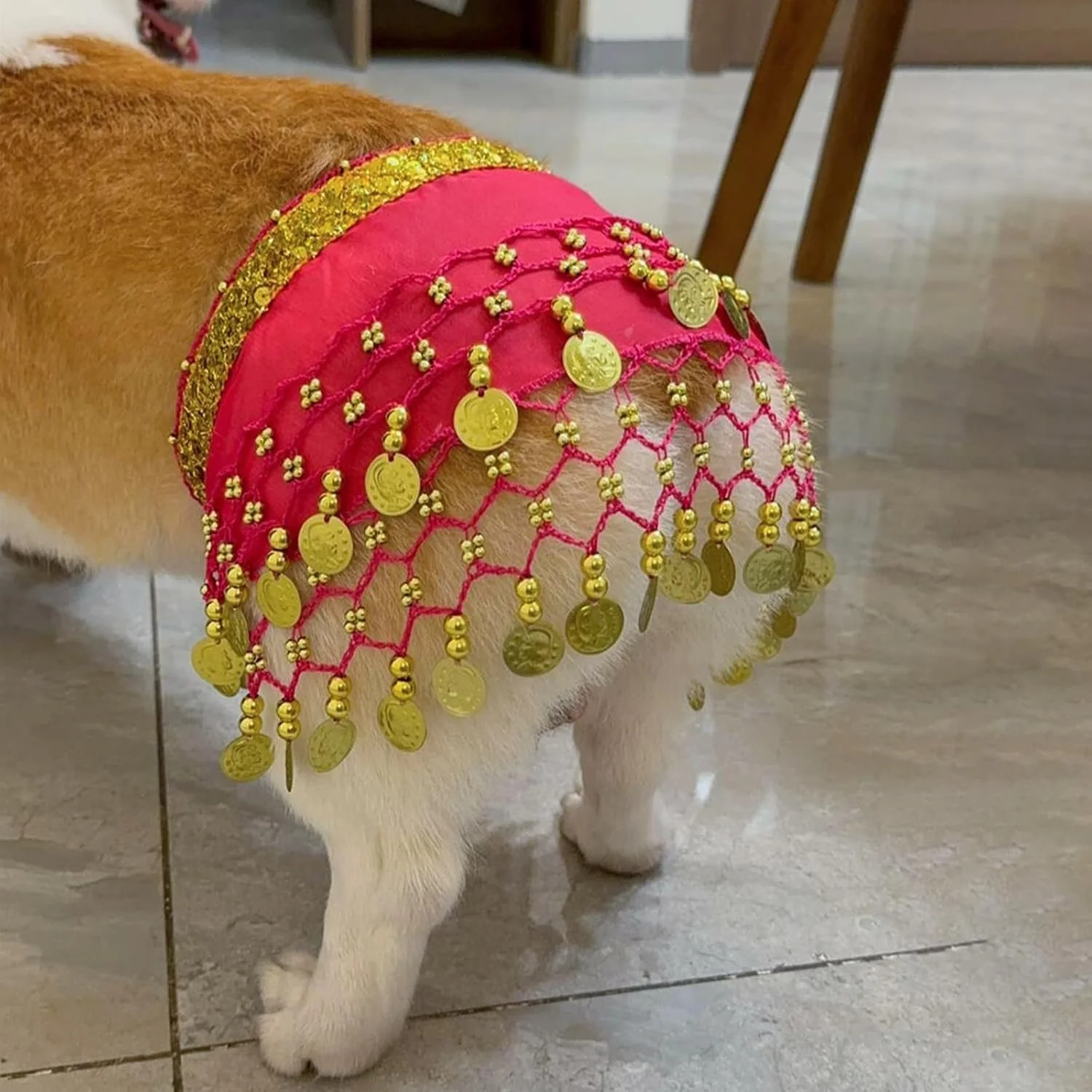 لباس سگ - گردنبند پولکی و زنجیر کمر، لباس رقص شکم برای کورگی و سایر نژادهای سگ، مناسب مهمانی ها و نقش آفرینی