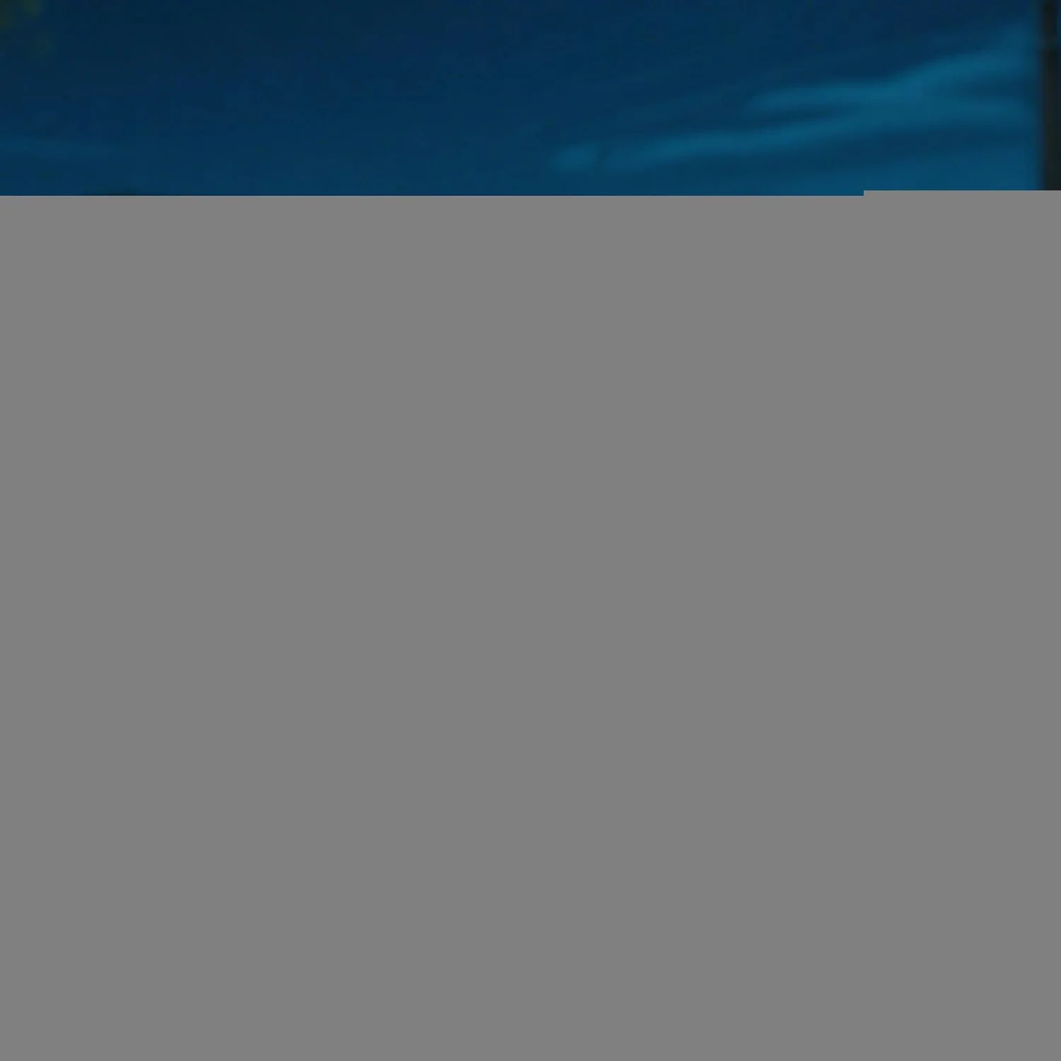 جلیقه سگ برای پیاده روی شبانه - لباس امنیتی خدمات حیوانات خانگی با قابلیت تنظیم و دید بالا برای نژادهای بزرگ، متوسط و کوچک جلیقه سگ برای پیاده روی شبانه - لباس امنیتی خدمات حیوانات خانگی با قابلیت تنظیم و دید بالا برای نژادهای بزرگ، متوسط و کوچک