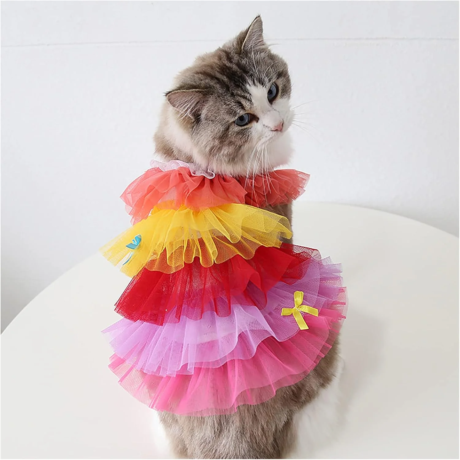 لباس پرنسسی حیوانات خانگی، دامن توری تنفسی گربه، لباس های زیبای حیوانات خانگی، پیراهن سگ نرم، لباس توله سگ تابستانی برای گربه ها و سگ های کوچک لباس پرنسسی حیوانات خانگی، دامن توری تنفسی گربه، لباس های زیبای حیوانات خانگی، پیراهن سگ نرم، لباس توله سگ تابستانی برای گربه ها و سگ های کوچک