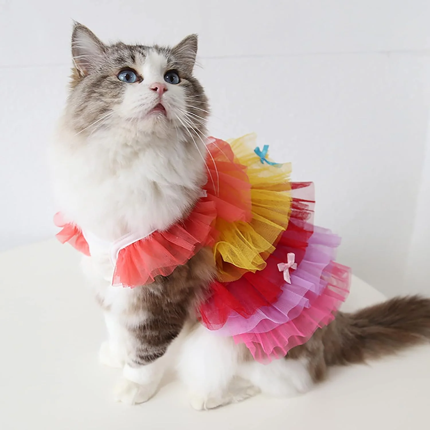 لباس پرنسسی حیوانات خانگی، دامن توری تنفسی گربه، لباس های زیبای حیوانات خانگی، پیراهن سگ نرم، لباس توله سگ تابستانی برای گربه ها و سگ های کوچک