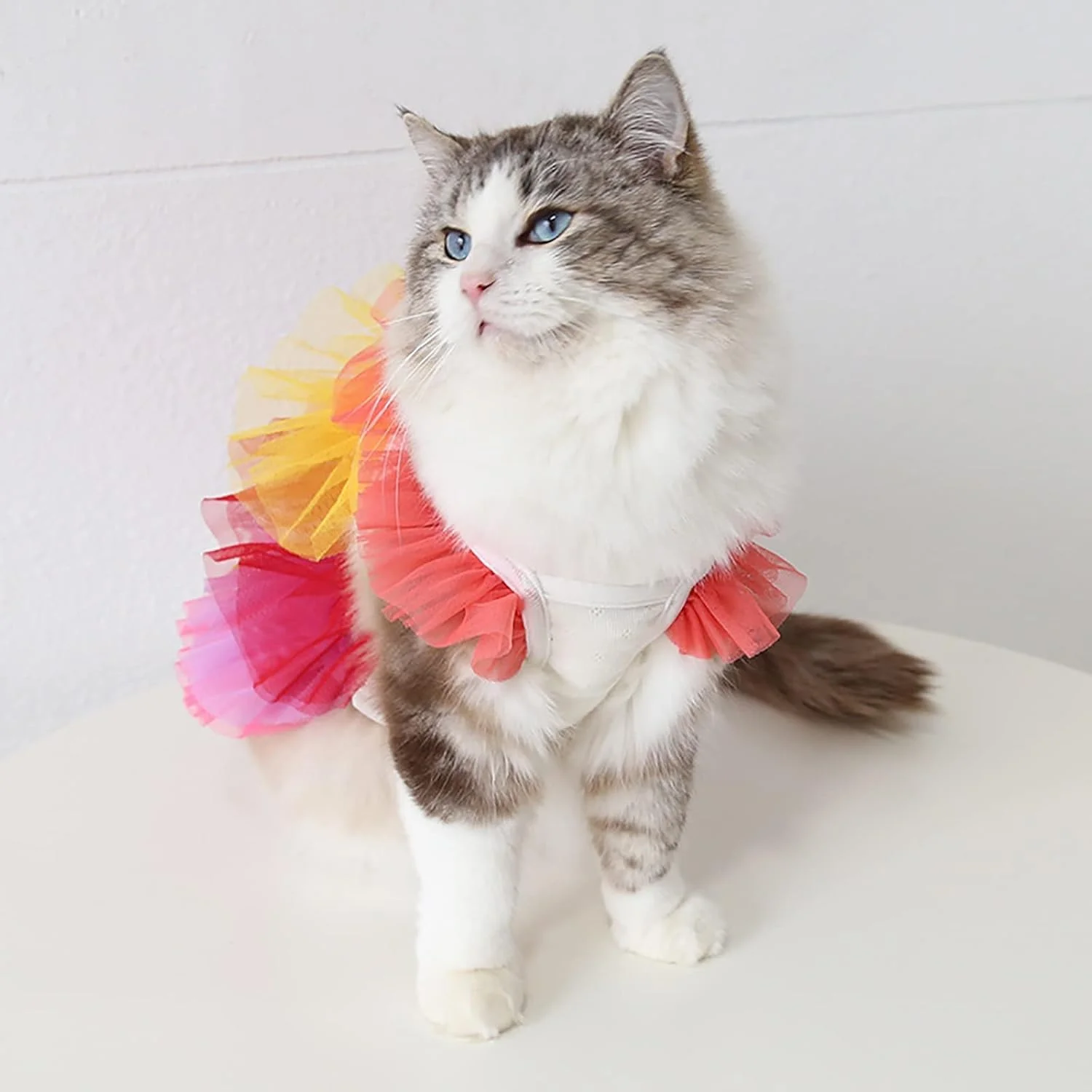 لباس پرنسسی حیوانات خانگی، دامن توری تنفسی گربه، لباس های زیبای حیوانات خانگی، پیراهن سگ نرم، لباس توله سگ تابستانی برای گربه ها و سگ های کوچک
