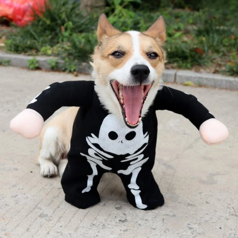لباس سگ مدل Skull طرح اسکلت