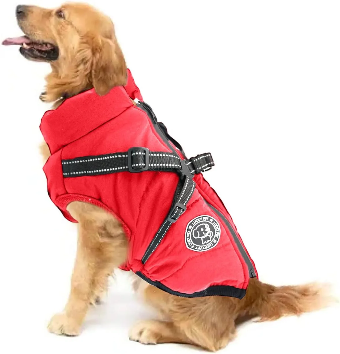 کت سگ برای سگ های کوچک، ضد آب، ژاکت سگ، ژاکت های زمستانی و کت های زمستانی برای سگ ها، کت سگ با هارنس، بارانی سگ ضد آب