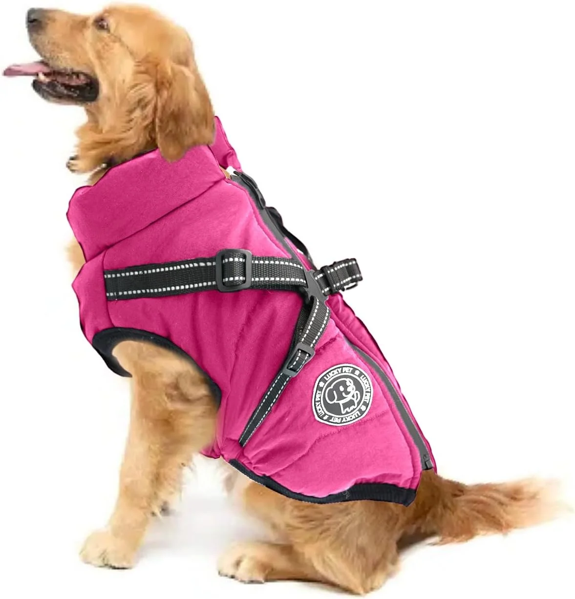 کت سگ برای سگ های کوچک، ضد آب، ژاکت سگ، ژاکت های زمستانی و کت های زمستانی برای سگ ها، کت سگ با هارنس، بارانی سگ ضد آب