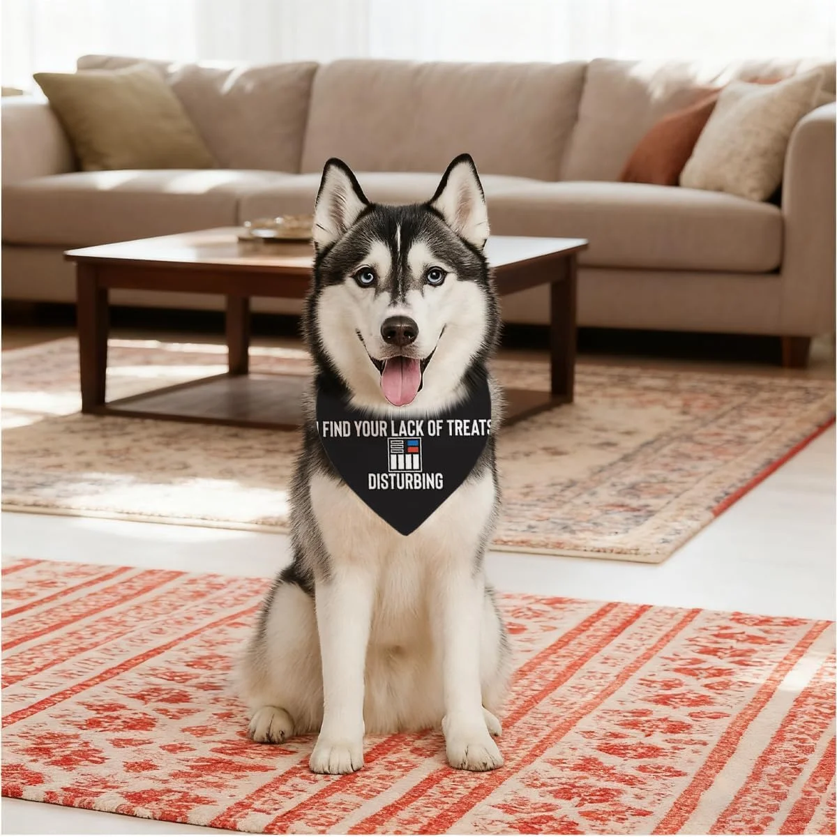 دستمال گردن خنده دار سگ، سگ از کمبود تشویقی های شما ناراحت است، لوازم جانبی لباس سگ، روسری مثلثی راحت و قابل تنظیم سگ، دستمال سر حیوانات خانگی برای سگ های کوچک و متوسط