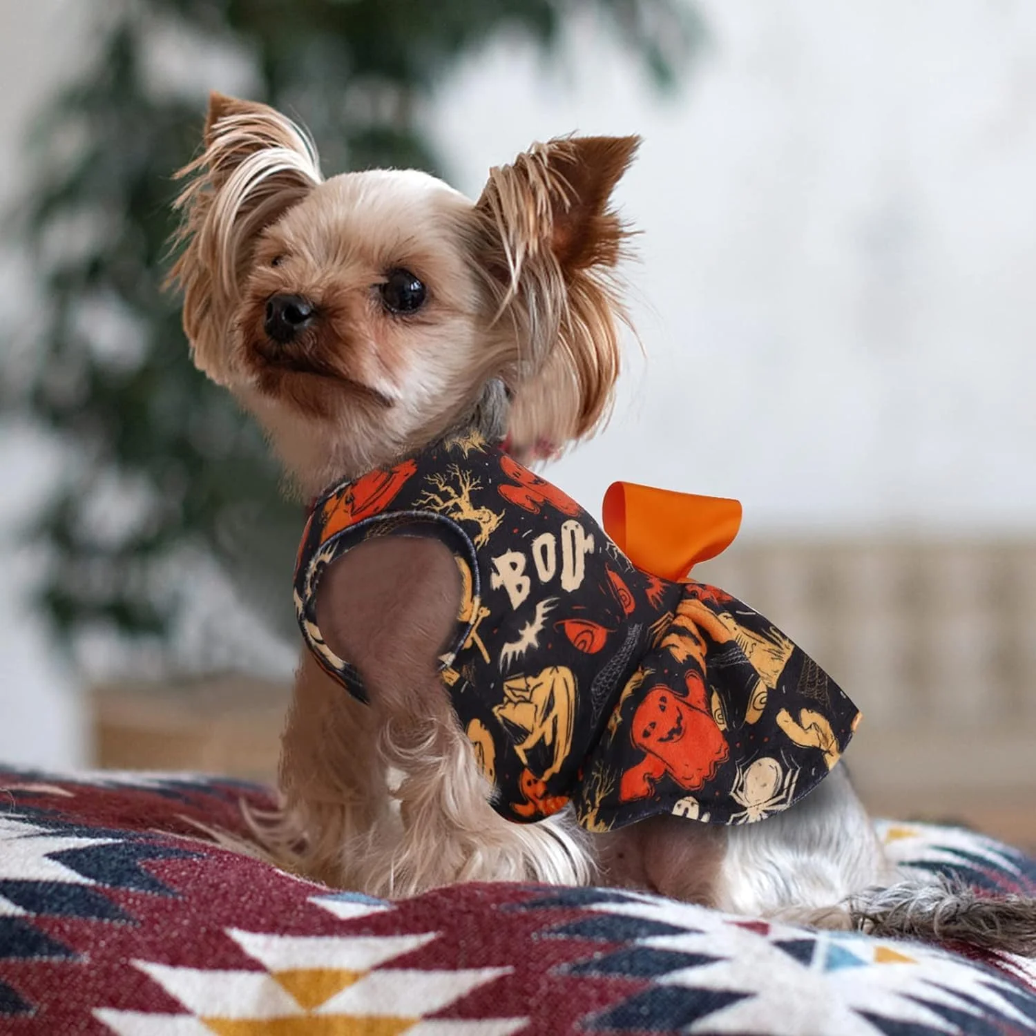 لباس سگ کوچک طرح هالووین کدو تنبل شبح پاپی با پاپیون، لباس حیوانات خانگی برای مهمانی جشنواره (مشکی، سایز S)