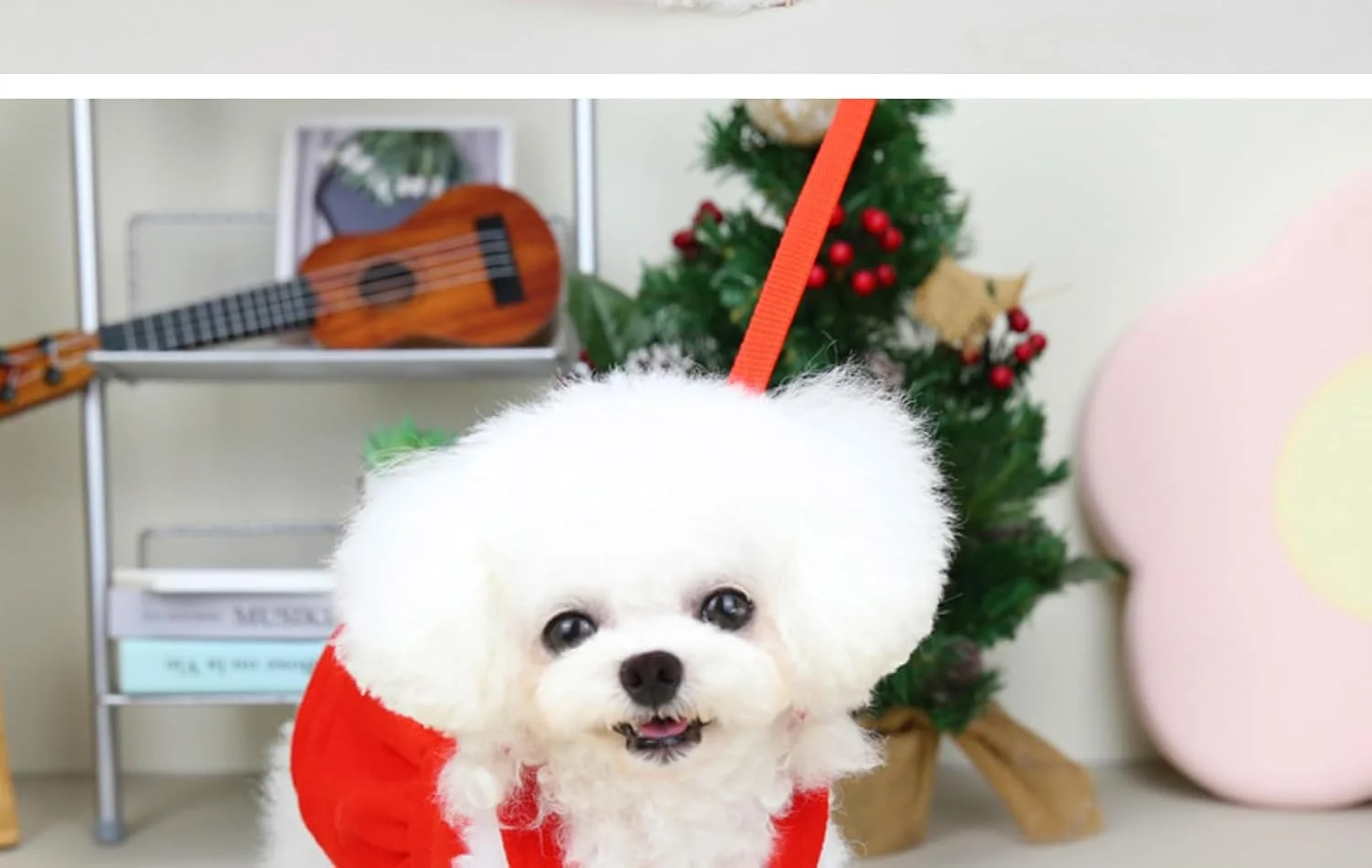 لباس سگ، لباس پولو سگ برای سگ های کوچک و متوسط دخترانه، لباس آفتابی سگ، لباس تولد سگ با حاشیه پلیسه دار برای بهار، تابستان، پاییز (قرمز، XL) لباس سگ، لباس پولو سگ برای سگ های کوچک و متوسط دخترانه، لباس آفتابی سگ، لباس تولد سگ با حاشیه پلیسه دار برای بهار، تابستان، پاییز (قرمز، XL)