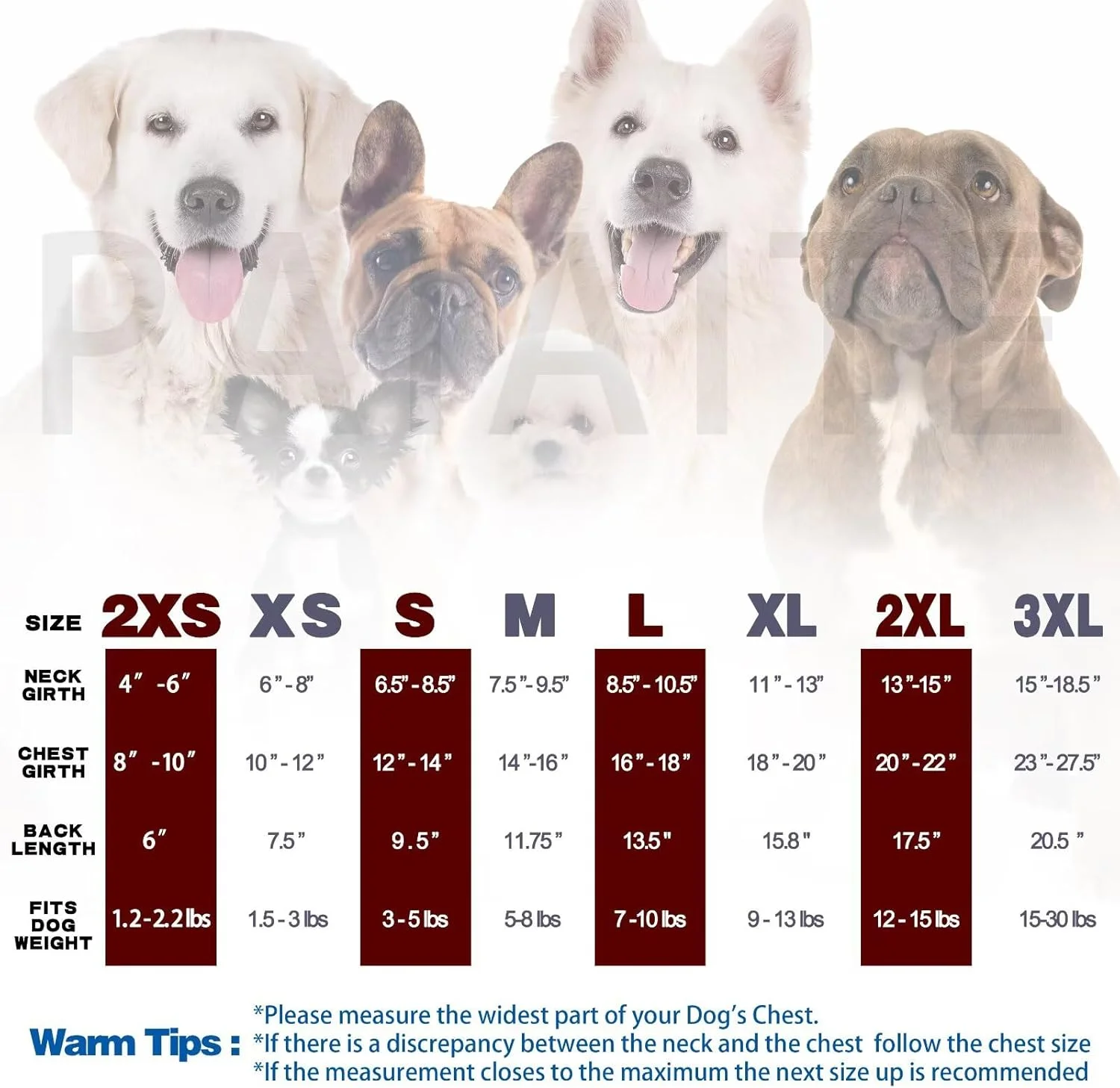 راحتی و استایل را برای حیوان خانگی خود به ارمغان بیاورید: تیشرت سگ نخی ممتاز 100% مناسب برای نژادهای کوچک مانند چی‌واوا، یورکی و توله سگ‌ها. استایل همیشگی با لباس توله سگ رکابی زنجبیلی سایز XX-Small