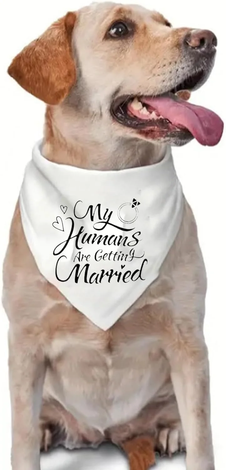دستمال گردن سگ با طرح «انسان‌های من دارند ازدواج می‌کنند»، مناسب هدیه نامزدی، اکسسوری حیوانات خانگی، مناسب عکس عروسی