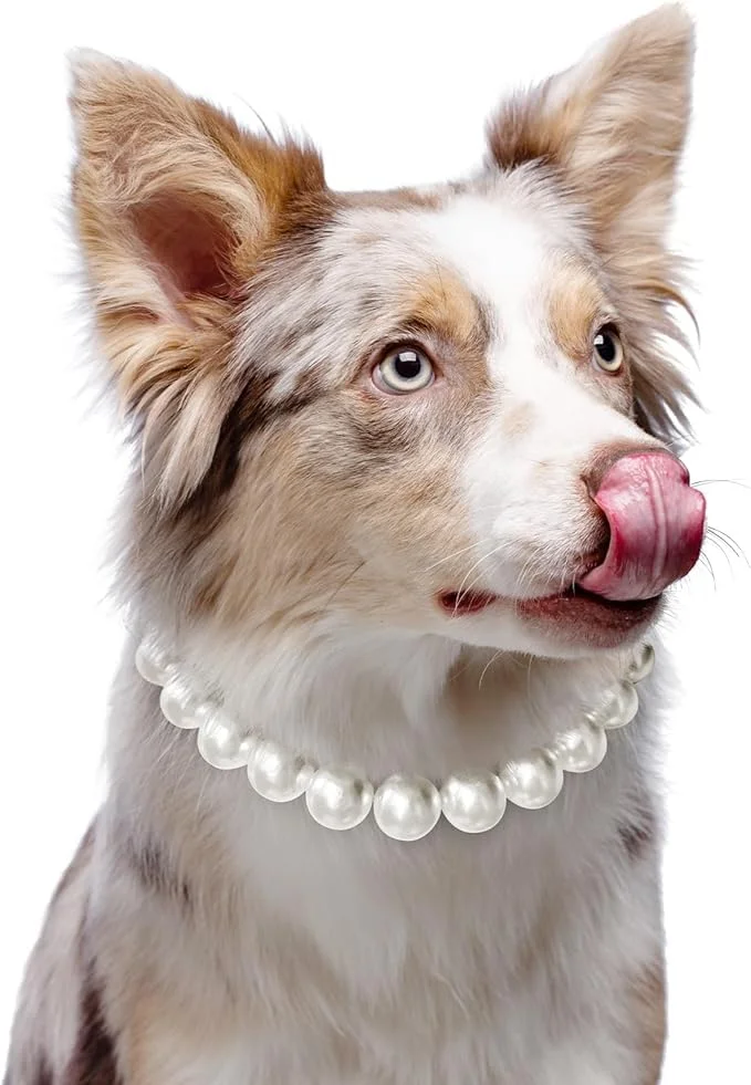 گردنبند سگ زیبا و قابل تنظیم: گردنبند مرواریدی کلاسیک و شیک برای سگ ها، مناسب برای مجالس و دورهمی ها (45 سانتی متر) گردنبند سگ زیبا و قابل تنظیم: گردنبند مرواریدی کلاسیک و شیک برای سگ ها، مناسب برای مجالس و دورهمی ها (45 سانتی متر)