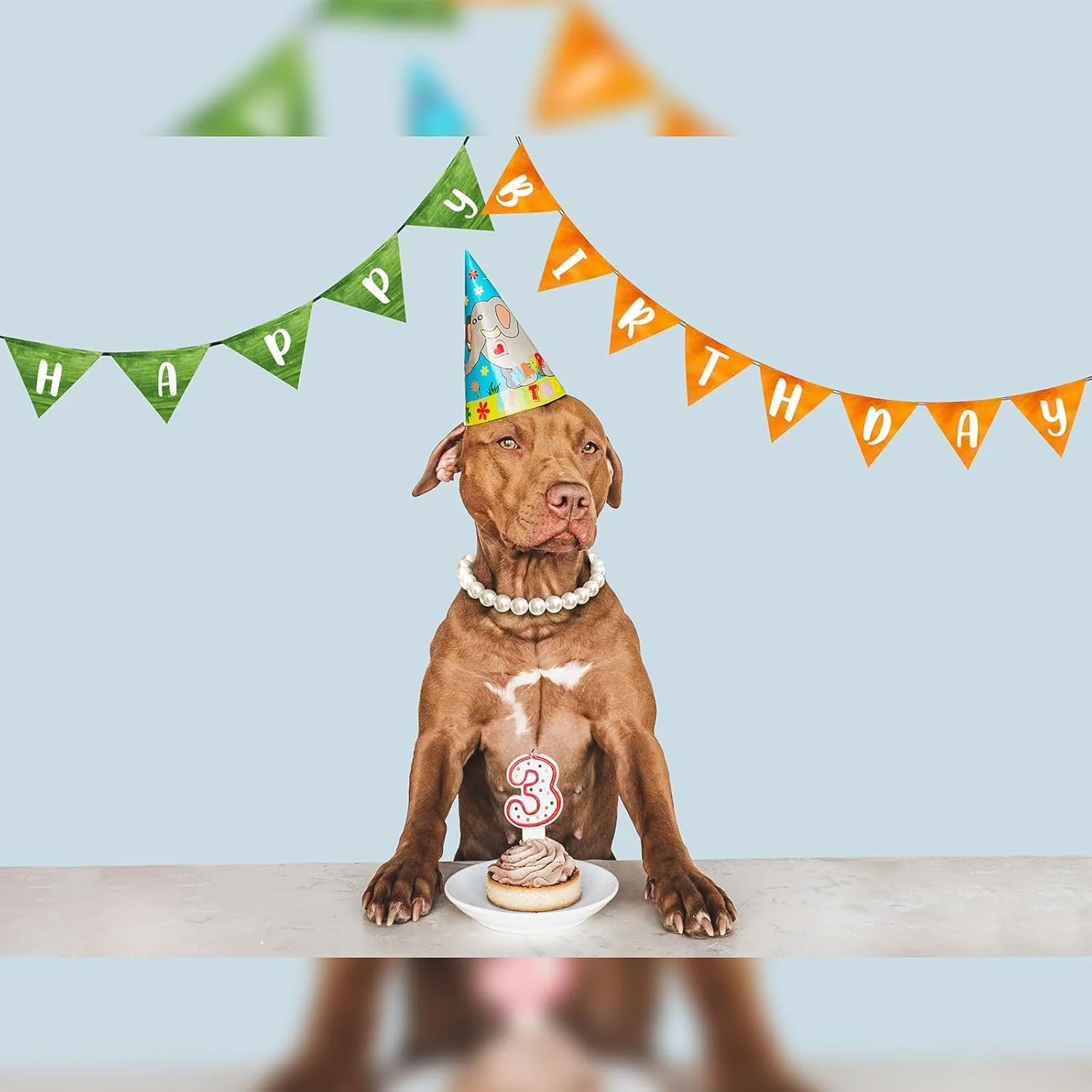 گردنبند سگ زیبا و قابل تنظیم: گردنبند مرواریدی کلاسیک و شیک برای سگ ها، مناسب برای مجالس و دورهمی ها (45 سانتی متر)