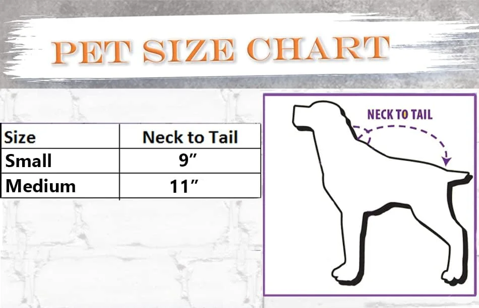 تزئینات جشن و مهمانی