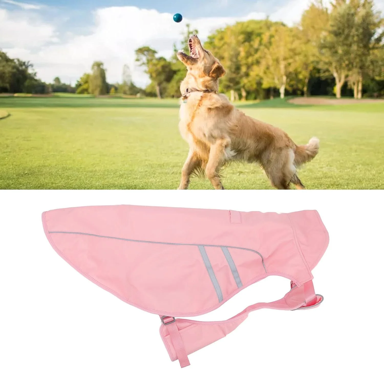 بارانی سگ، کلاه بارانی ضد باد با نوار بازتابنده قوی، ژاکت بارانی برای سگ های بزرگ، متوسط و کوچک (L)