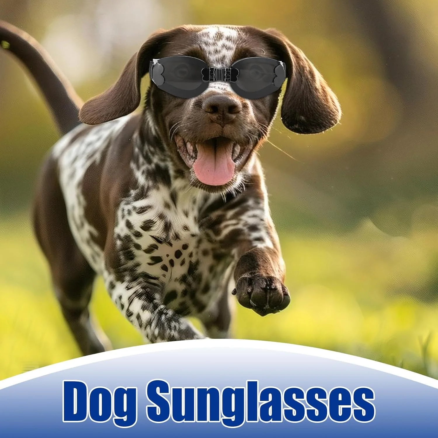 عینک آفتابی سگ نژاد متوسط | عینک آفتابی سایه توله سگ - سایه تاشو ضد تابش حیوانات خانگی با بند قابل تنظیم برای اسکی، کوهنوردی، دشت و دوچرخه سواری