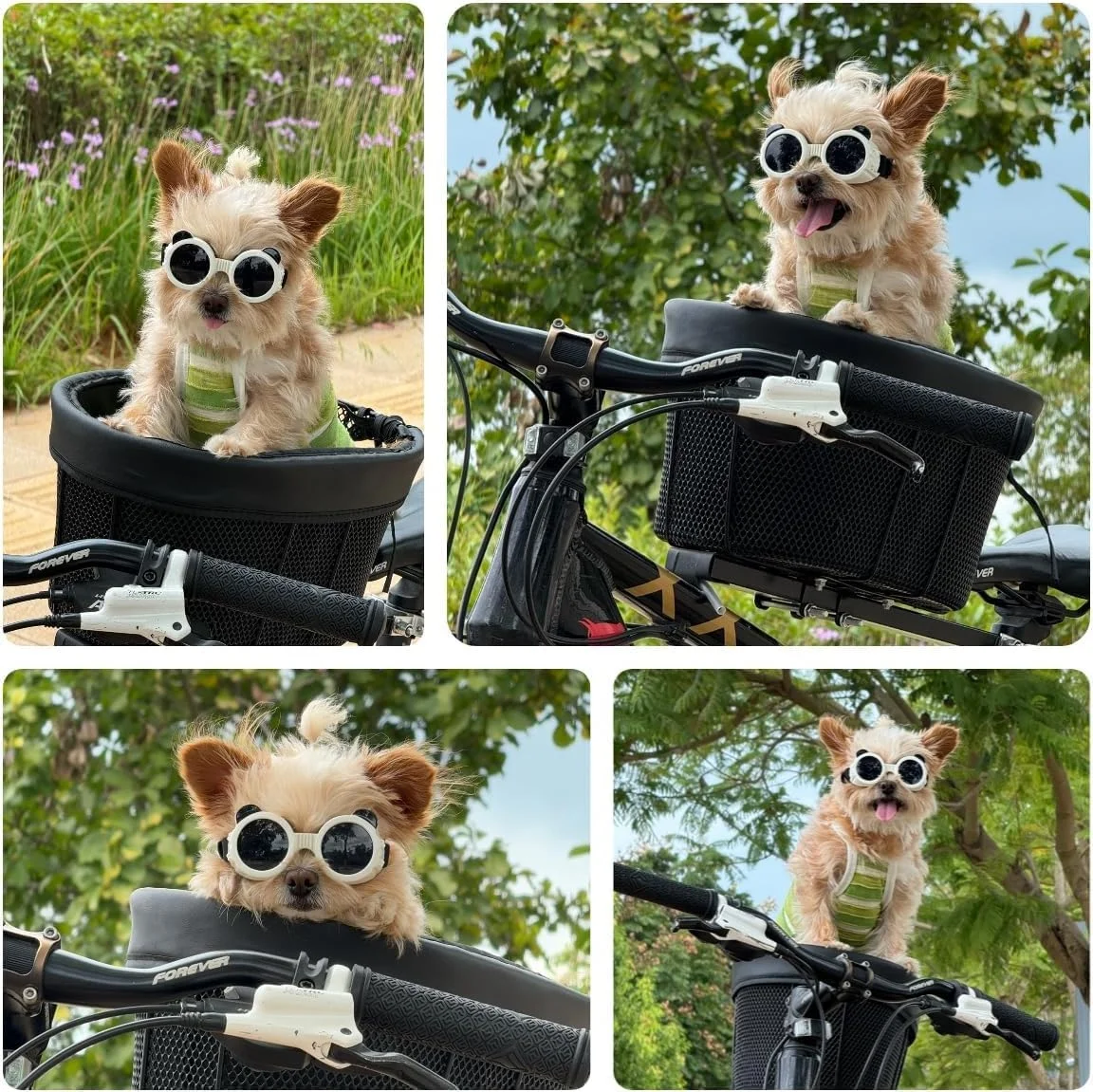 عینک محافظ سگ برای نژادهای کوچک، محافظت در برابر اشعه ماوراء بنفش/باد/گرد و غبار، عینک آفتابی توله سگ با بند قابل تنظیم، محافظ چشم برای سگ، ایده آل برای فضای باز، مسافرت، دوچرخه سواری، پیاده روی و ماشین سواری (سفید و مشکی) عینک محافظ سگ برای نژادهای کوچک، محافظت در برابر اشعه ماوراء بنفش/باد/گرد و غبار، عینک آفتابی توله سگ با بند قابل تنظیم، محافظ چشم برای سگ، ایده آل برای فضای باز، مسافرت، دوچرخه سواری، پیاده روی و ماشین سواری (سفید و مشکی)