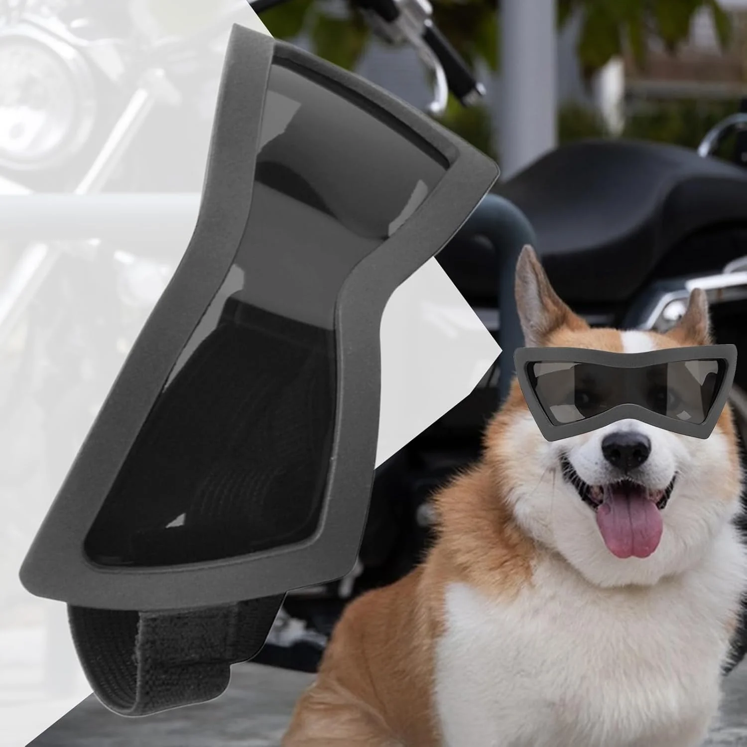 عینک آفتابی سگ نژاد کوچک، عینک آفتابی ضد باد توله سگ - عینک گربه محافظت در برابر اشعه ماوراء بنفش و ضد گرد و غبار با بند قابل تنظیم برای محافظت از چشم در پیاده روی در فضای باز و موتور سواری توله سگ عینک آفتابی سگ نژاد کوچک، عینک آفتابی ضد باد توله سگ - عینک گربه محافظت در برابر اشعه ماوراء بنفش و ضد گرد و غبار با بند قابل تنظیم برای محافظت از چشم در پیاده روی در فضای باز و موتور سواری توله سگ