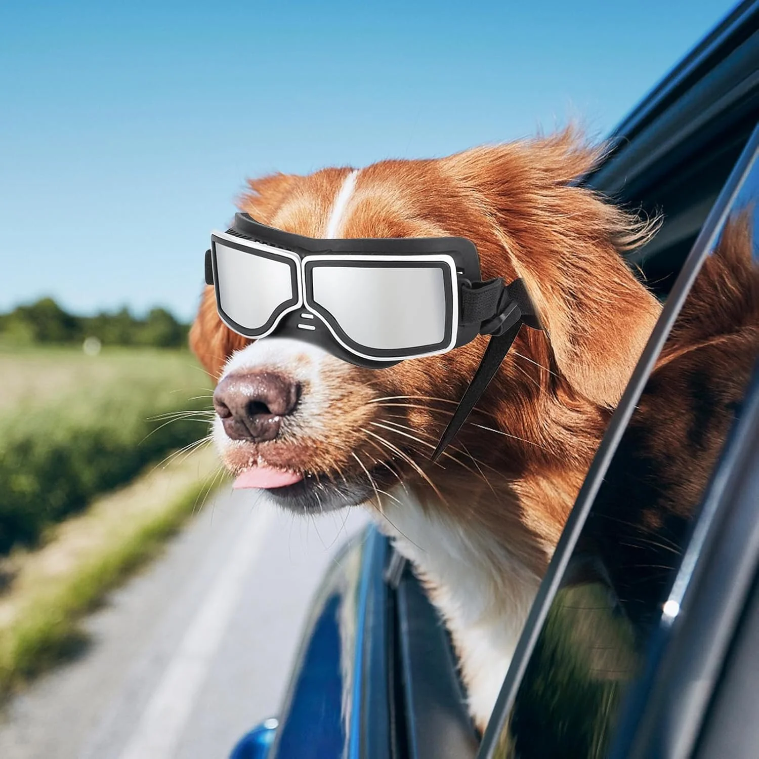 عینک بزرگ سگ، عینک محافظ چشم حیوانات خانگی | عینک محافظ باد و مه برای حیوانات خانگی با بند قابل تنظیم برای سگ های متوسط و بزرگ عینک بزرگ سگ، عینک محافظ چشم حیوانات خانگی | عینک محافظ باد و مه برای حیوانات خانگی با بند قابل تنظیم برای سگ های متوسط و بزرگ