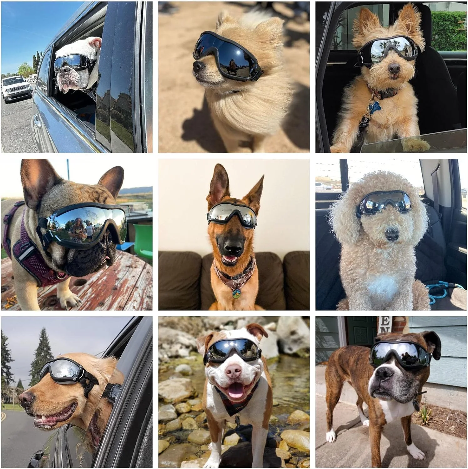 عینک محافظ سگ با محافظت در برابر اشعه ماوراء بنفش، بندهای قابل تنظیم، طراحی ضد باد و ضد گرد و غبار، مشکی، متوسط تا بزرگ عینک محافظ سگ با محافظت در برابر اشعه ماوراء بنفش، بندهای قابل تنظیم، طراحی ضد باد و ضد گرد و غبار، مشکی، متوسط تا بزرگ