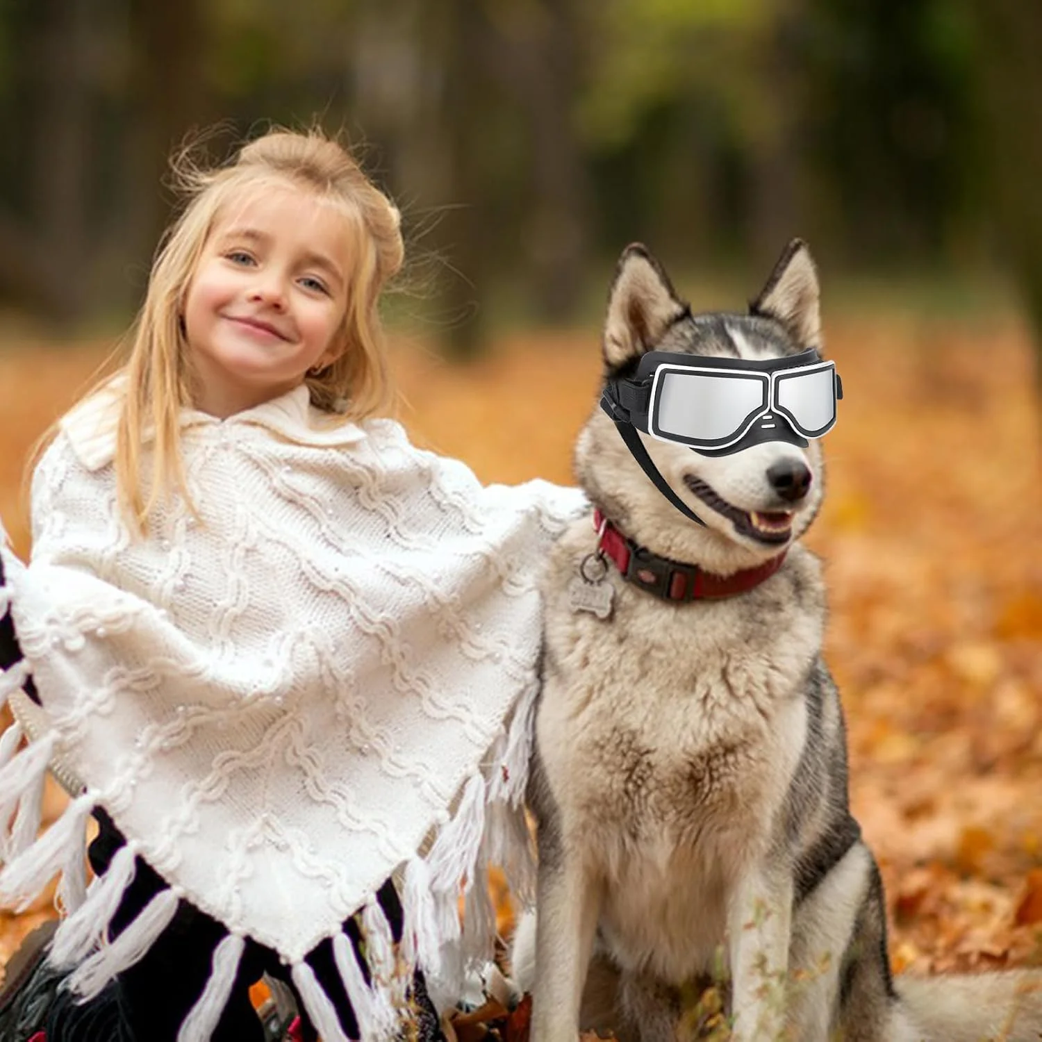 عینک بزرگ سگ، عینک محافظ چشم حیوانات خانگی | عینک محافظ باد و مه برای حیوانات خانگی با بند قابل تنظیم برای سگ های متوسط و بزرگ عینک بزرگ سگ، عینک محافظ چشم حیوانات خانگی | عینک محافظ باد و مه برای حیوانات خانگی با بند قابل تنظیم برای سگ های متوسط و بزرگ