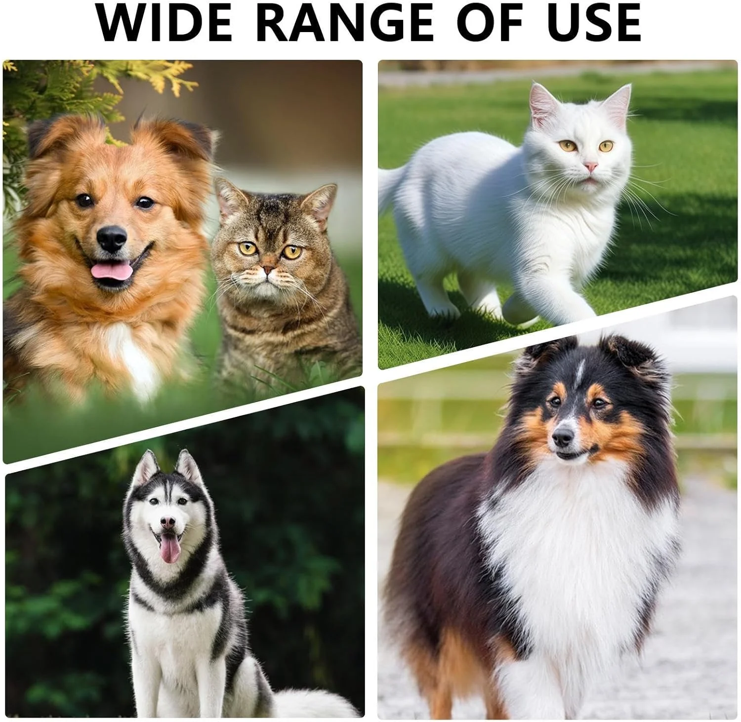 عینک آفتابی سگ نژاد کوچک، عینک آفتابی ضد باد توله سگ - عینک گربه ضد گرد و غبار با بند قابل تنظیم برای محافظت از چشم در پیاده روی در فضای باز و موتورسواری توله سگ عینک آفتابی سگ نژاد کوچک، عینک آفتابی ضد باد توله سگ - عینک گربه ضد گرد و غبار با بند قابل تنظیم برای محافظت از چشم در پیاده روی در فضای باز و موتورسواری توله سگ