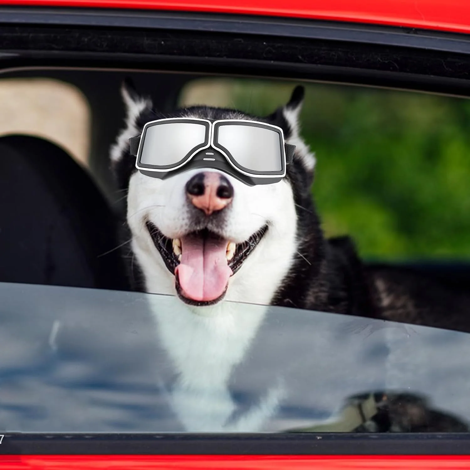 عینک محافظ سگ، عینک ضد برف برای حیوانات خانگی، عینک آفتابی ضد باد سگ، مناسب برای فعالیت های خارج از منزل، رانندگی، پیاده روی، کمپینگ عینک محافظ سگ، عینک ضد برف برای حیوانات خانگی، عینک آفتابی ضد باد سگ، مناسب برای فعالیت های خارج از منزل، رانندگی، پیاده روی، کمپینگ
