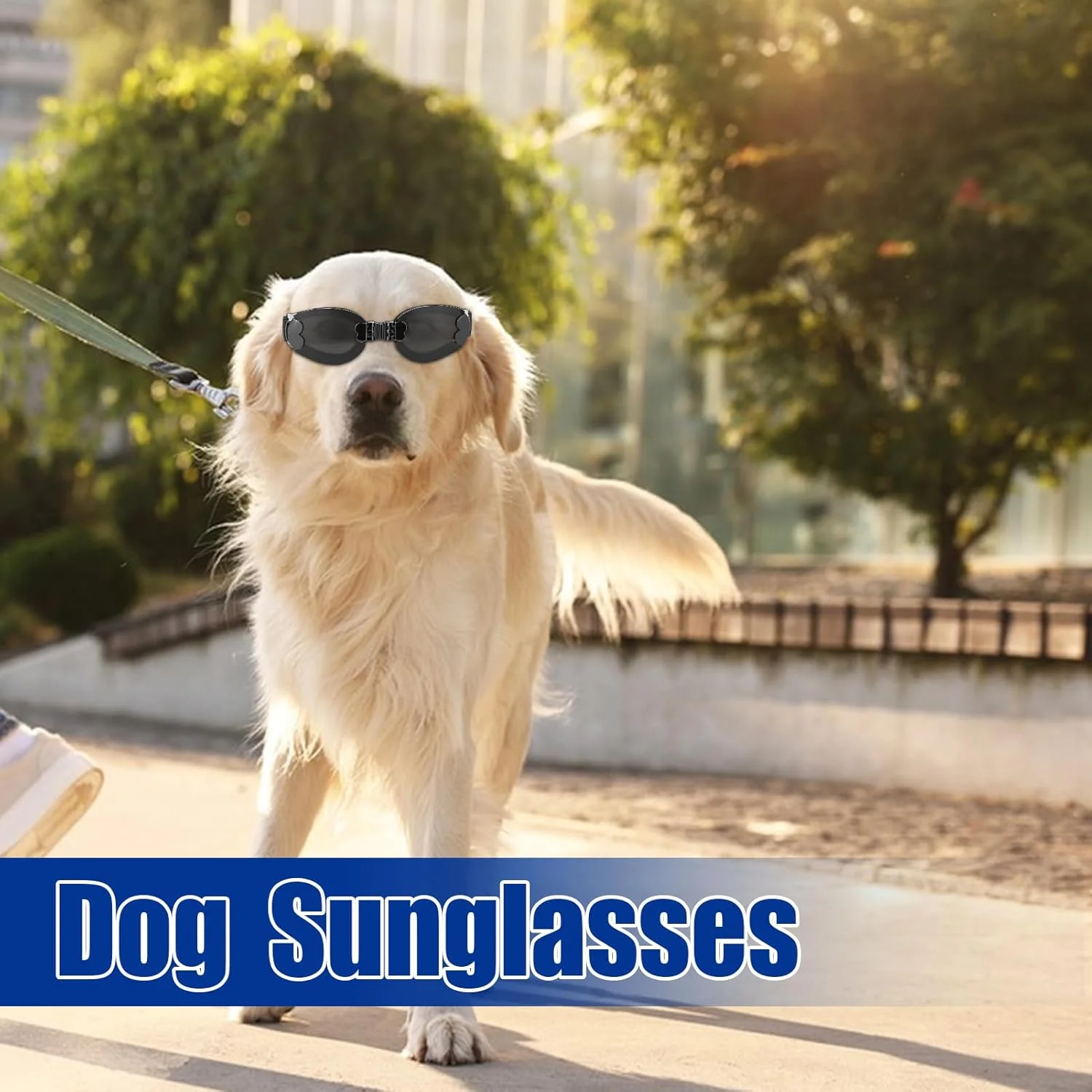 عینک آفتابی سگ نژاد کوچک | عینک آفتابی سایه توله سگ، بند قابل تنظیم عینک آفتابی تاشو حیوانات خانگی برای دشت، دویدن، اسکی عینک آفتابی سگ نژاد کوچک | عینک آفتابی سایه توله سگ، بند قابل تنظیم عینک آفتابی تاشو حیوانات خانگی برای دشت، دویدن، اسکی